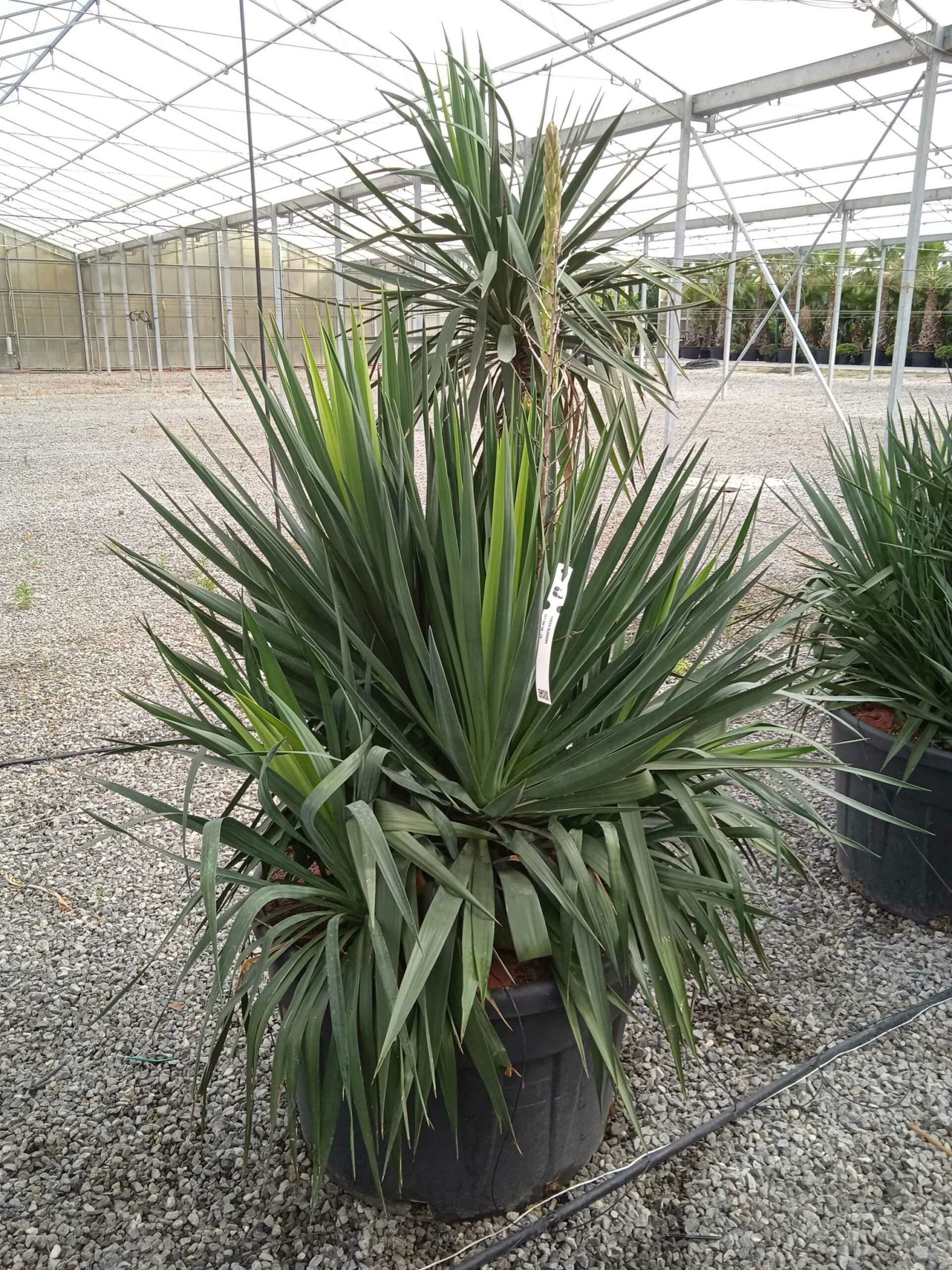 1662367282 scaled 5e812c65