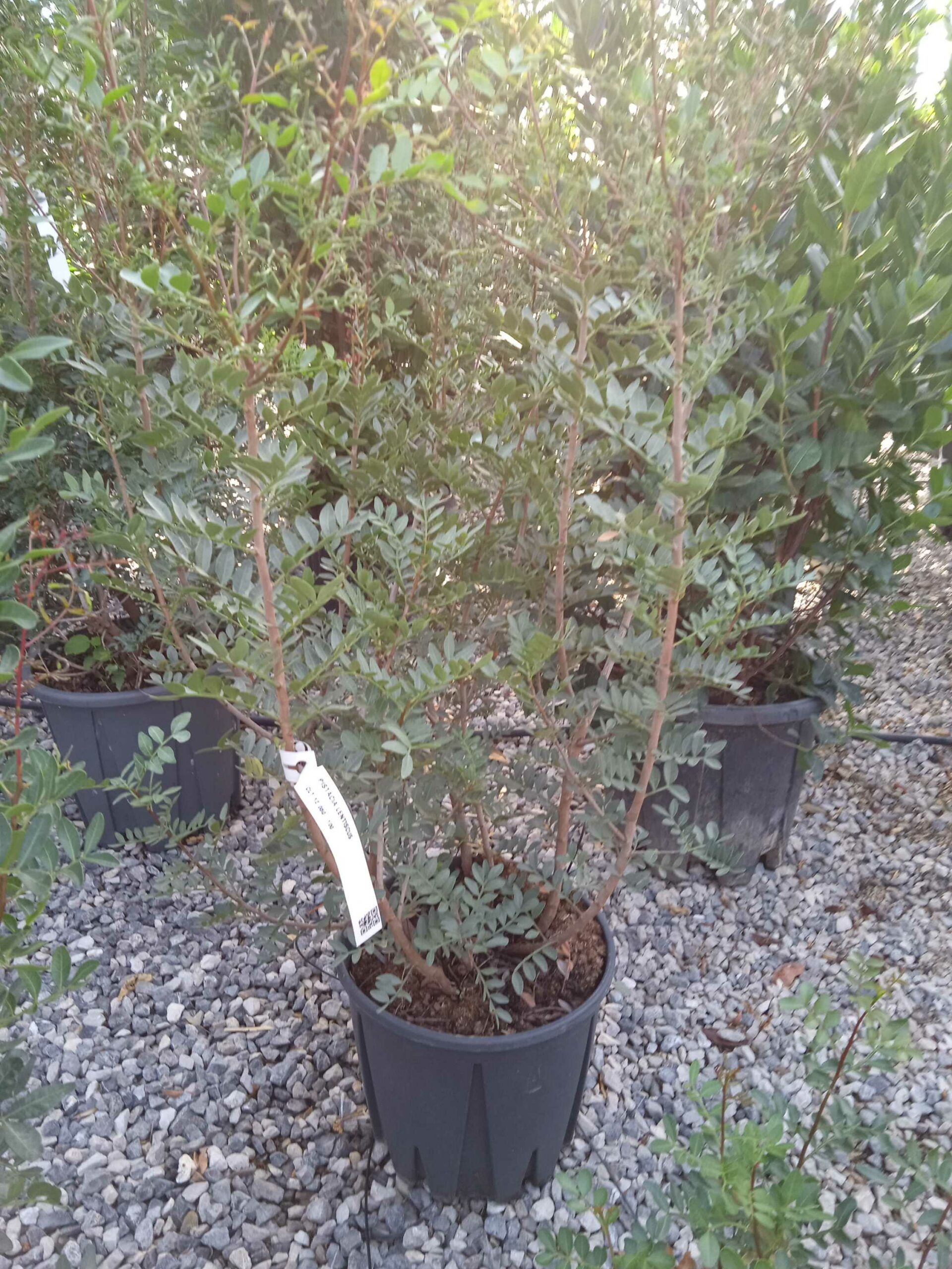 1662446702 scaled 5e007664