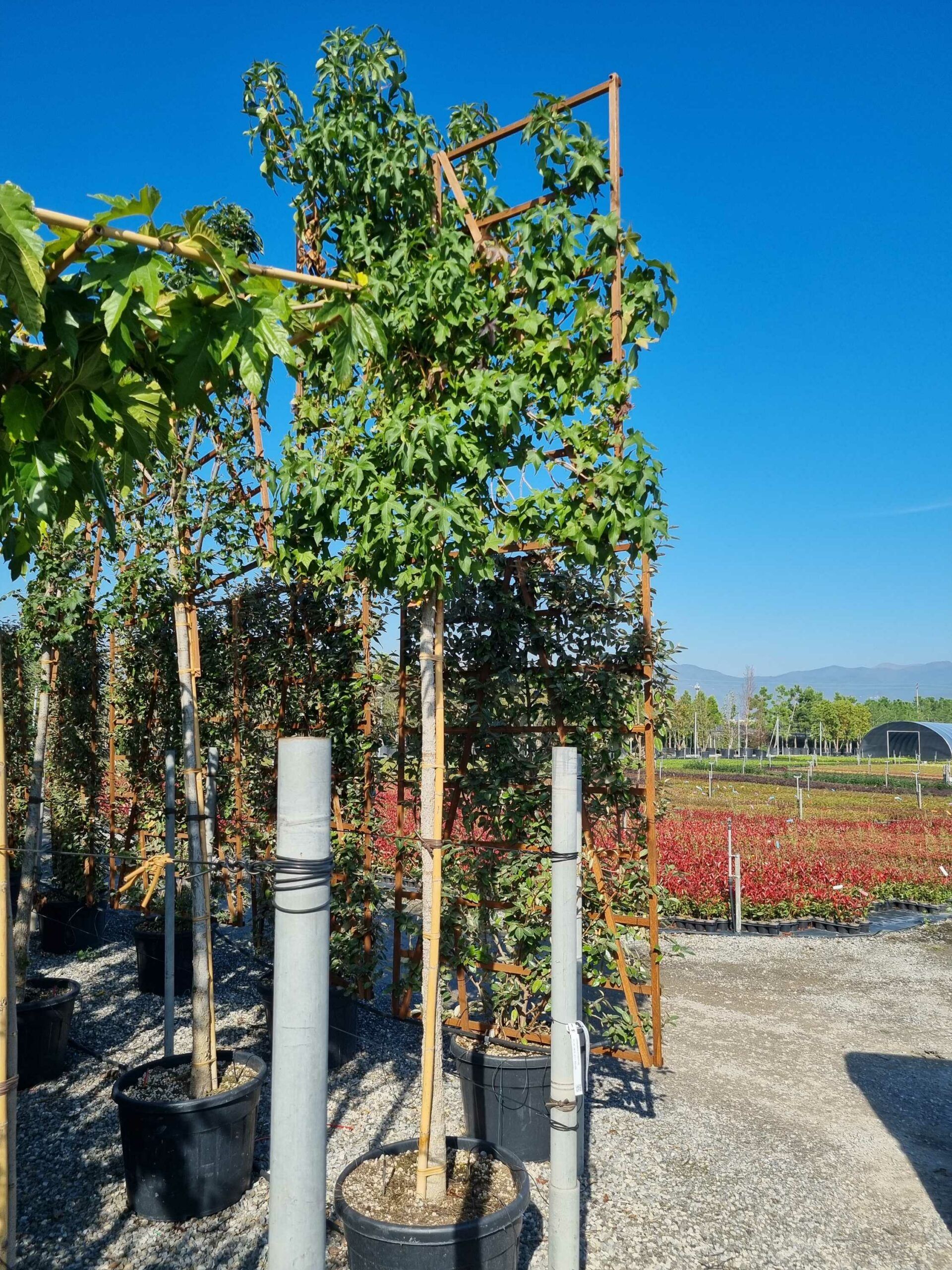 1665133013 scaled 5e440d9b