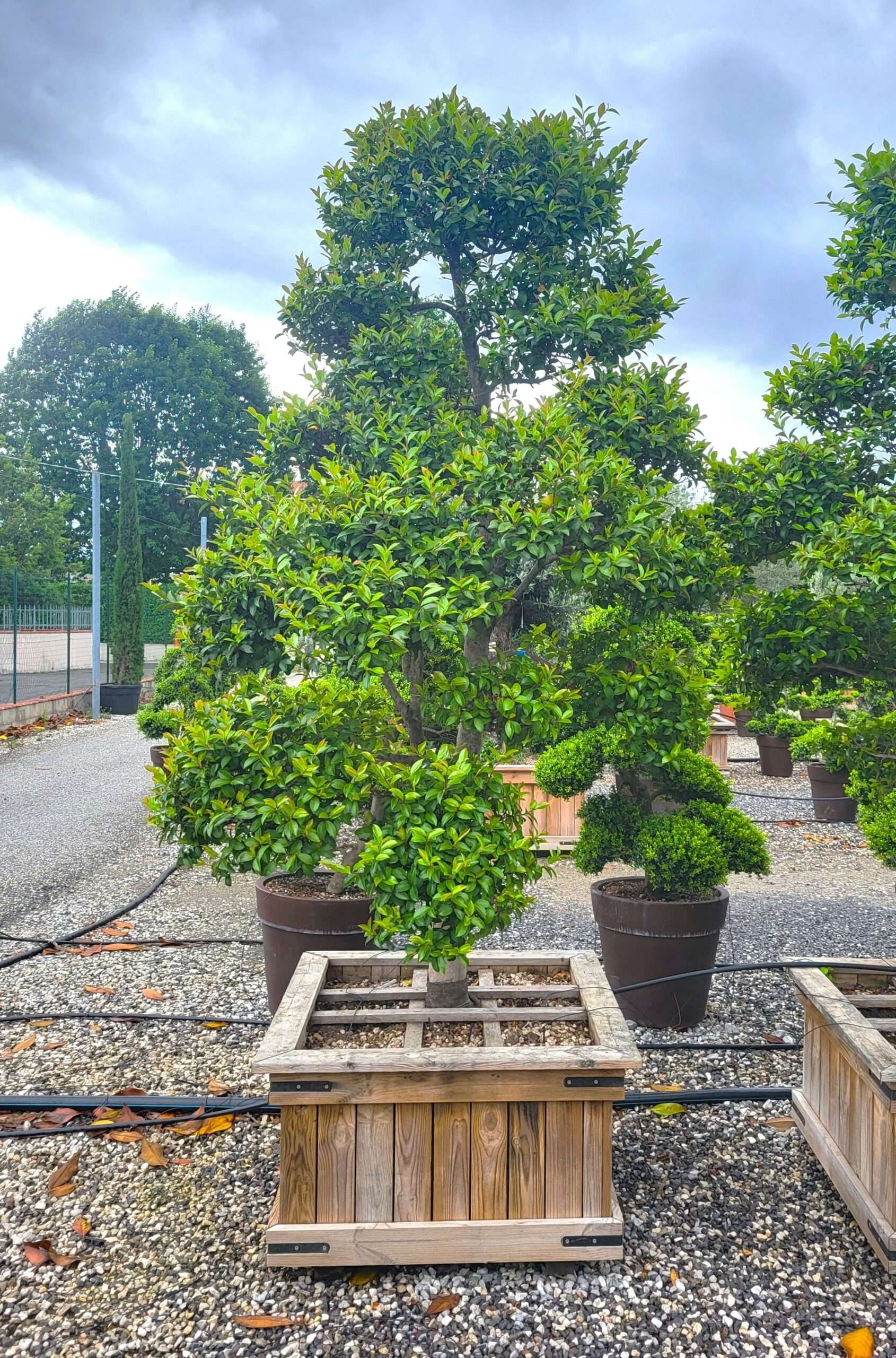 1684316164 scaled 5e6b214c