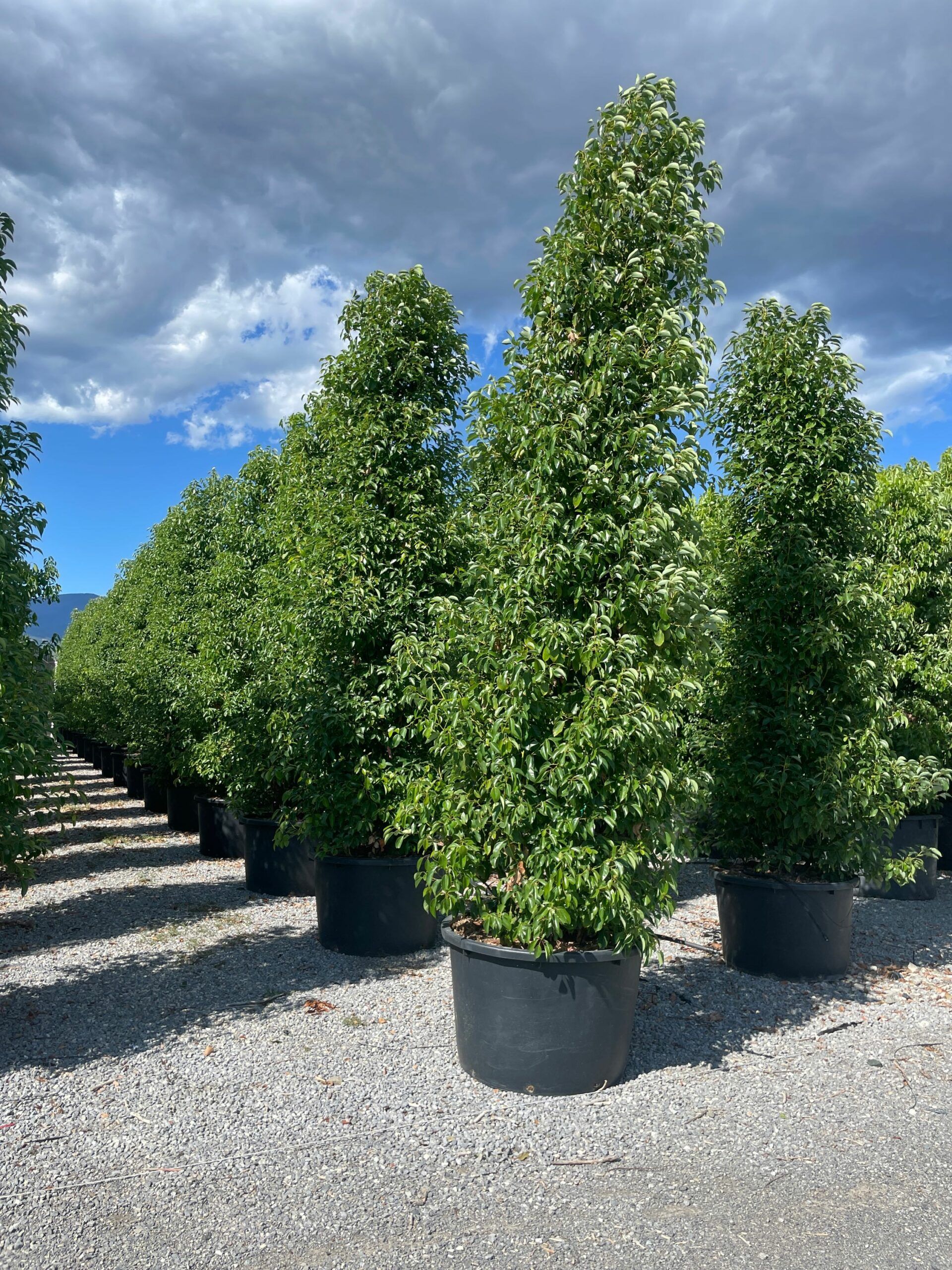 1691417558 scaled 5e35648e