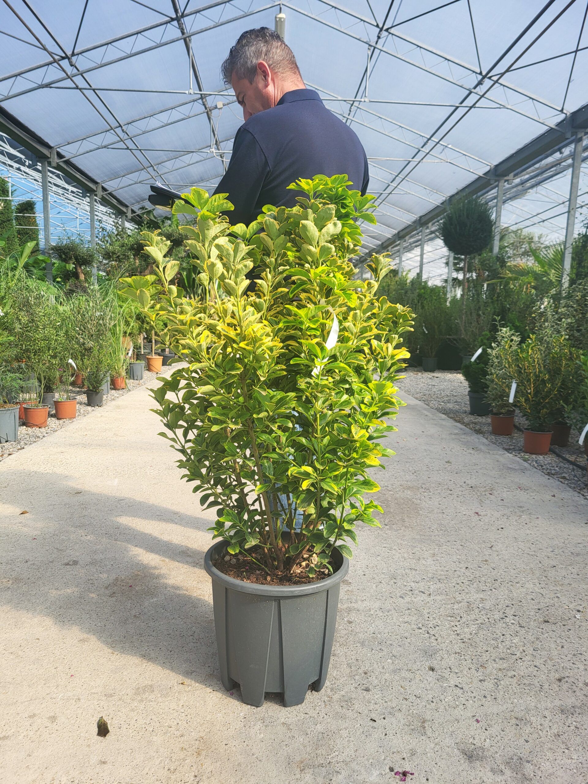 1696398005 scaled 5e10c2e8