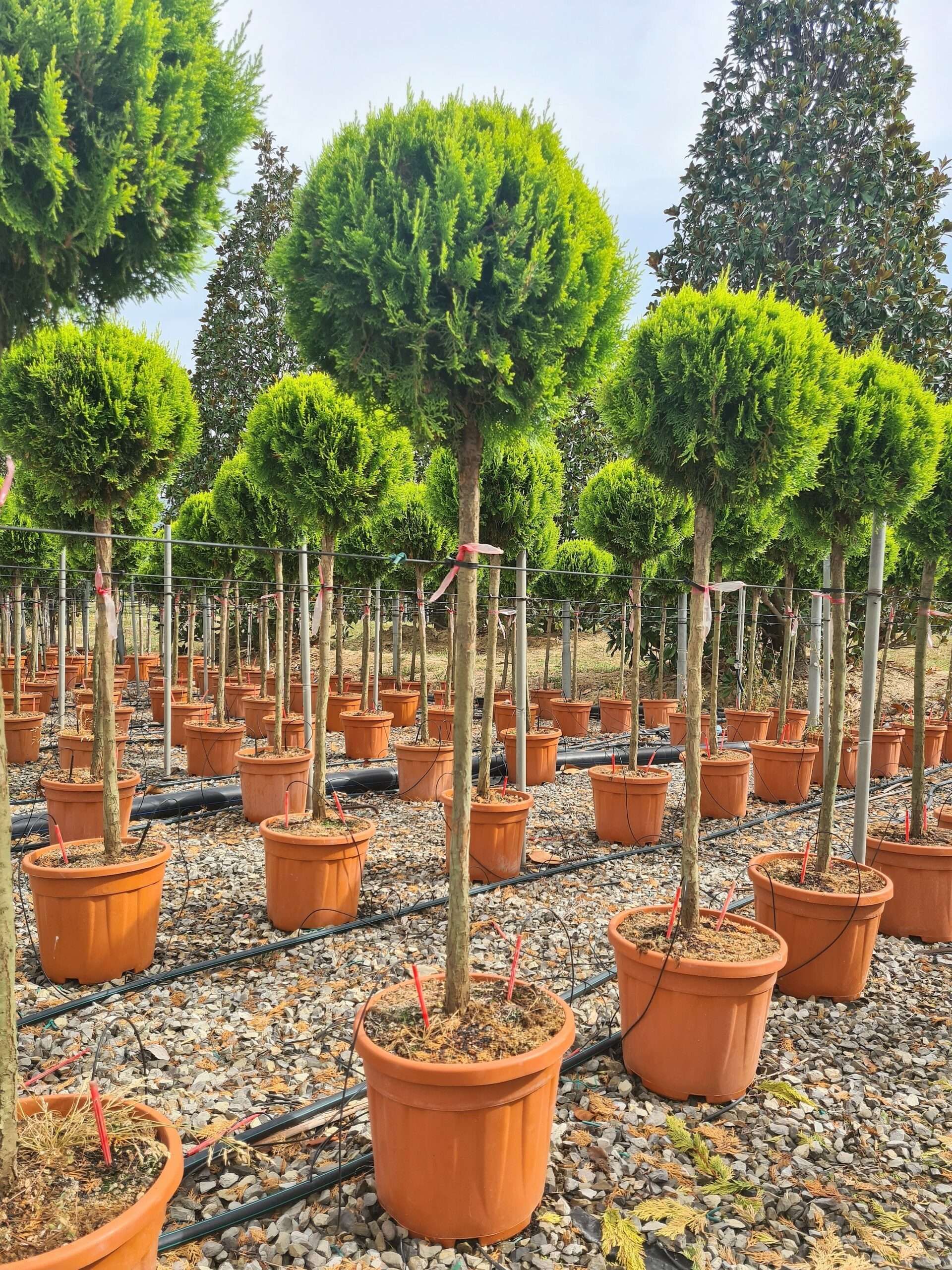 1631797813 40 scaled 5f67a33f