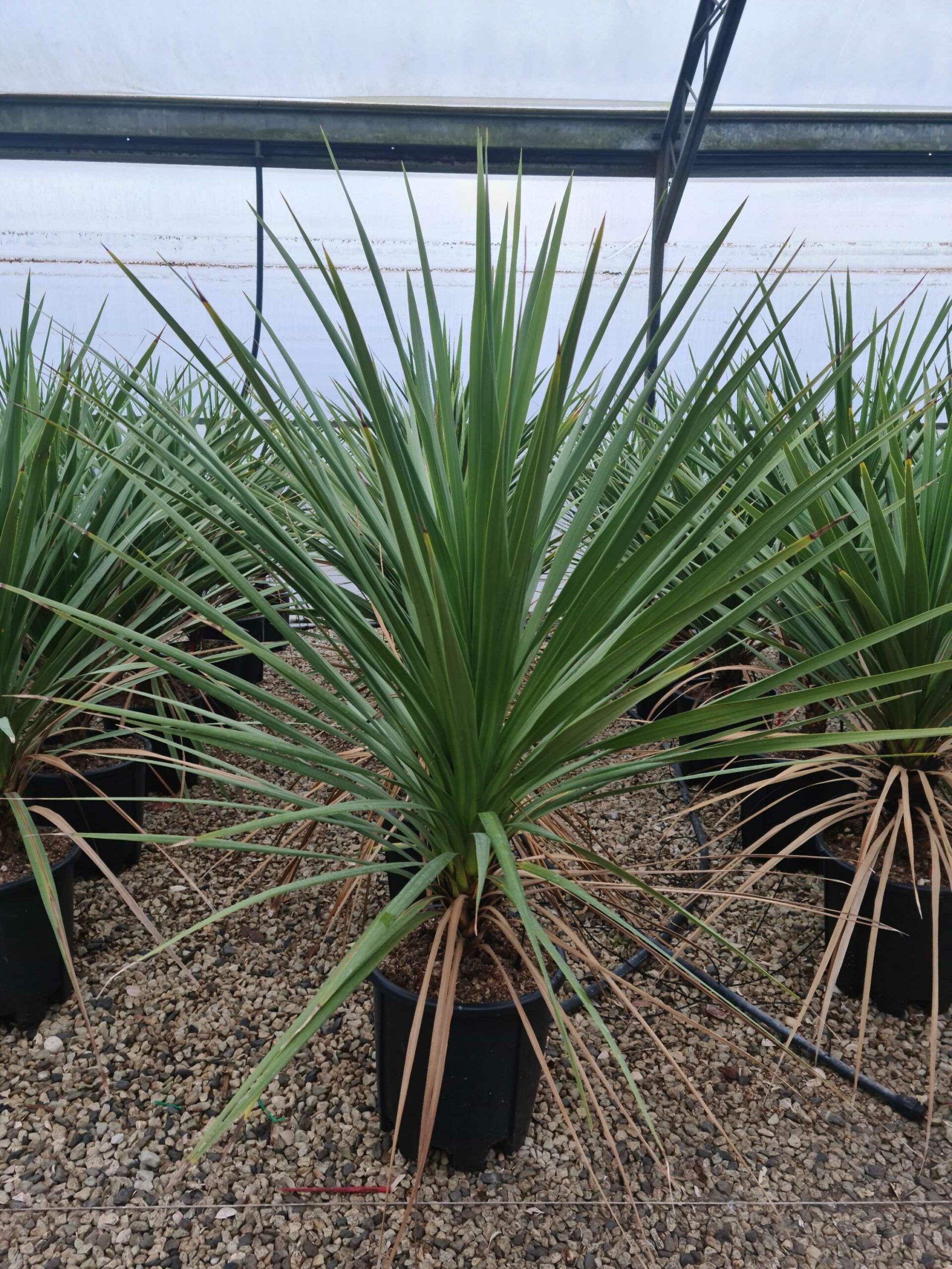 1640246647 scaled 5fe11f2b