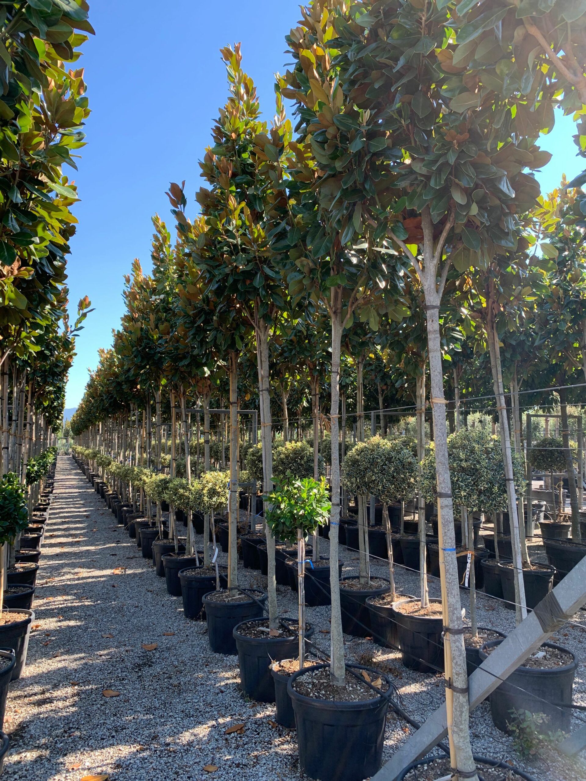 1657898241 scaled 5fda6bdb