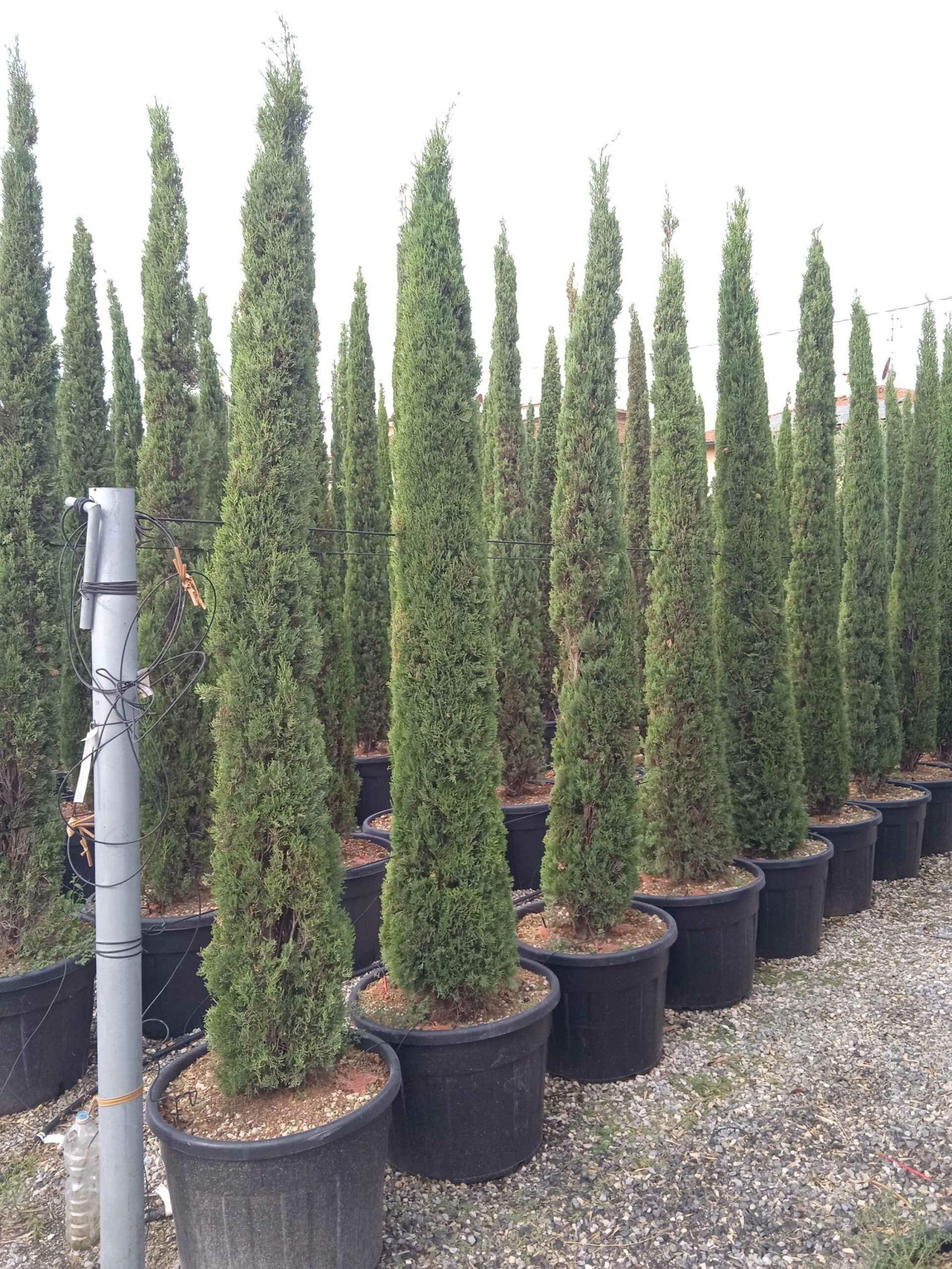 1662017554 scaled 5fb9601f