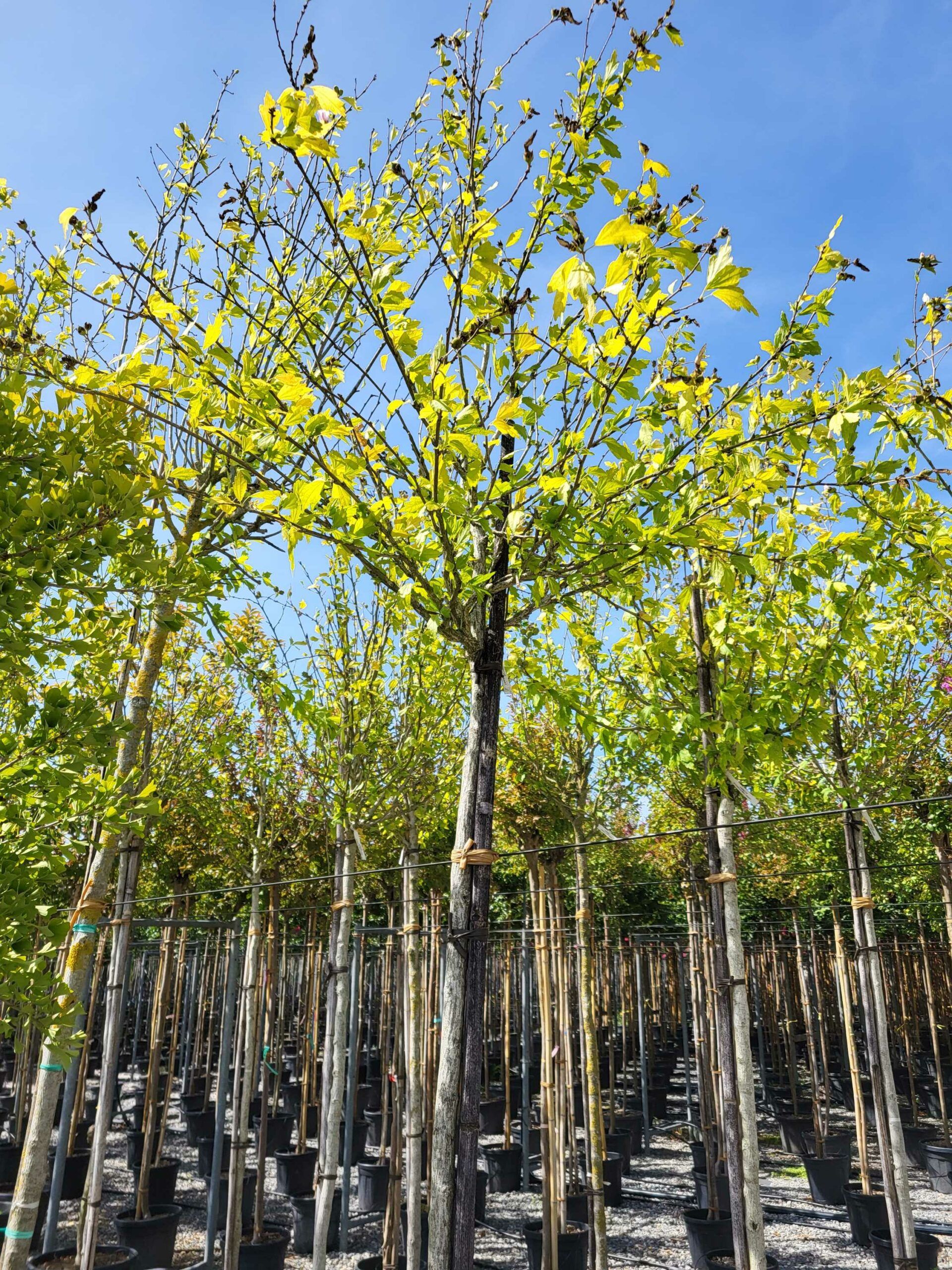 1691588202 scaled 5fa94787