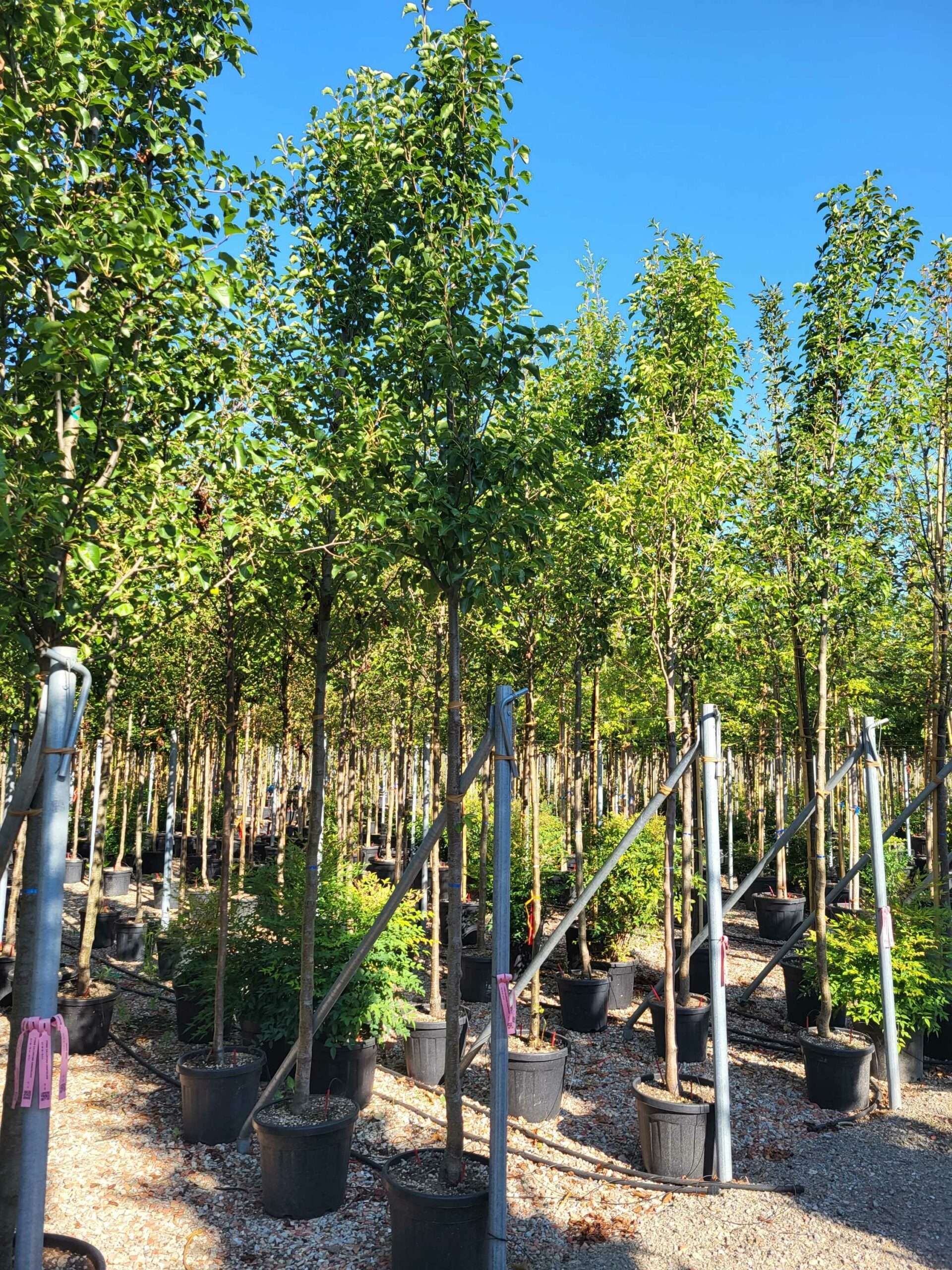 1692689618 scaled 5fb70b41