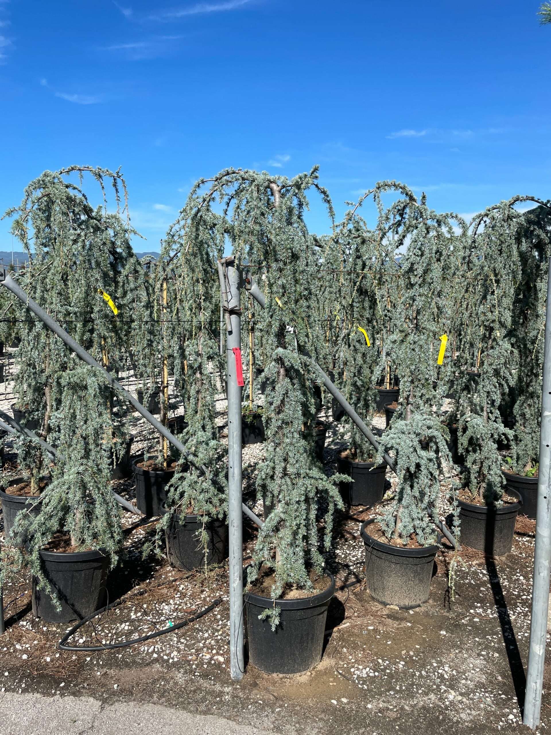 1632303526 scaled 60716490