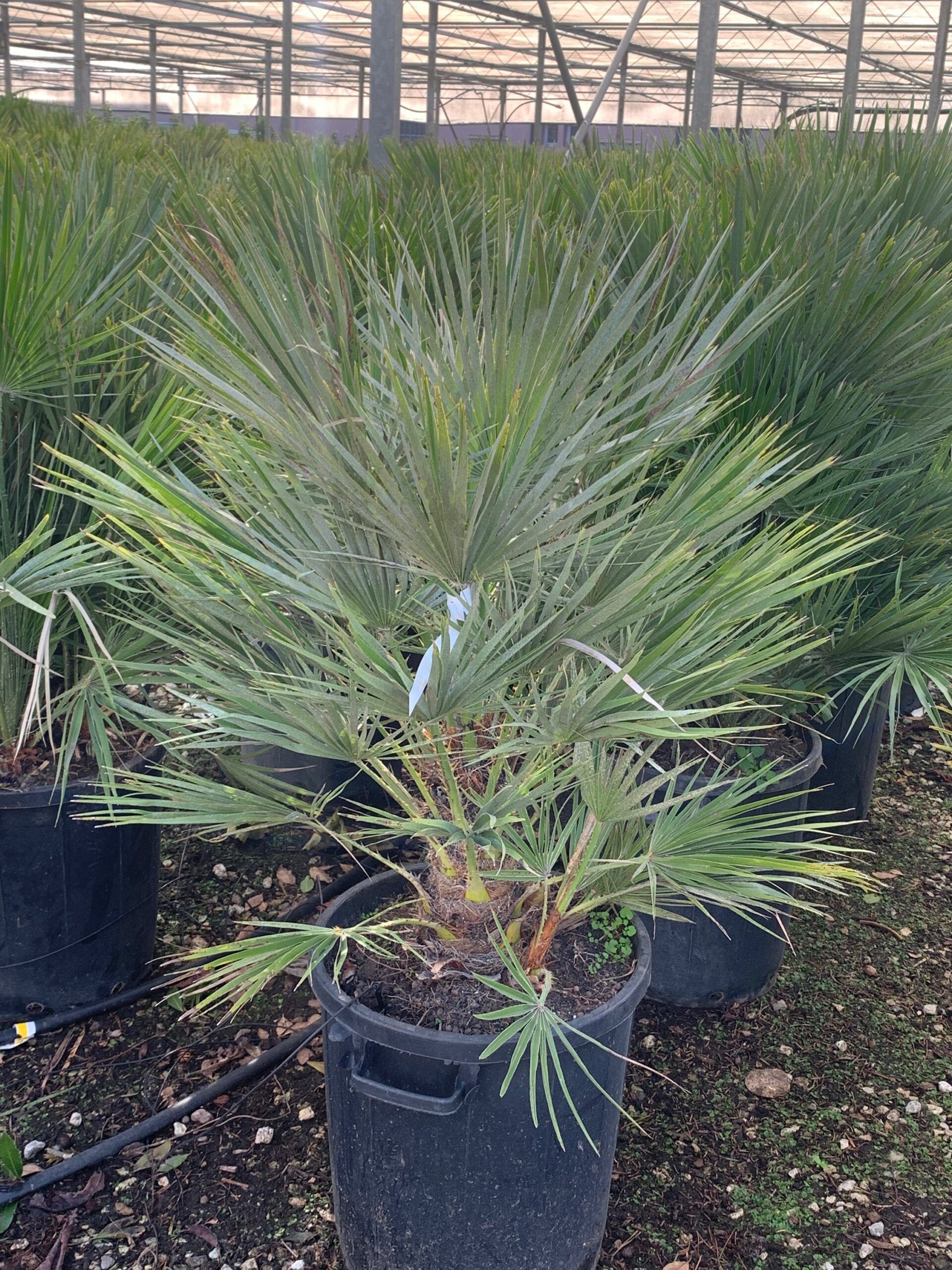 1635500382 scaled 609cc7e4