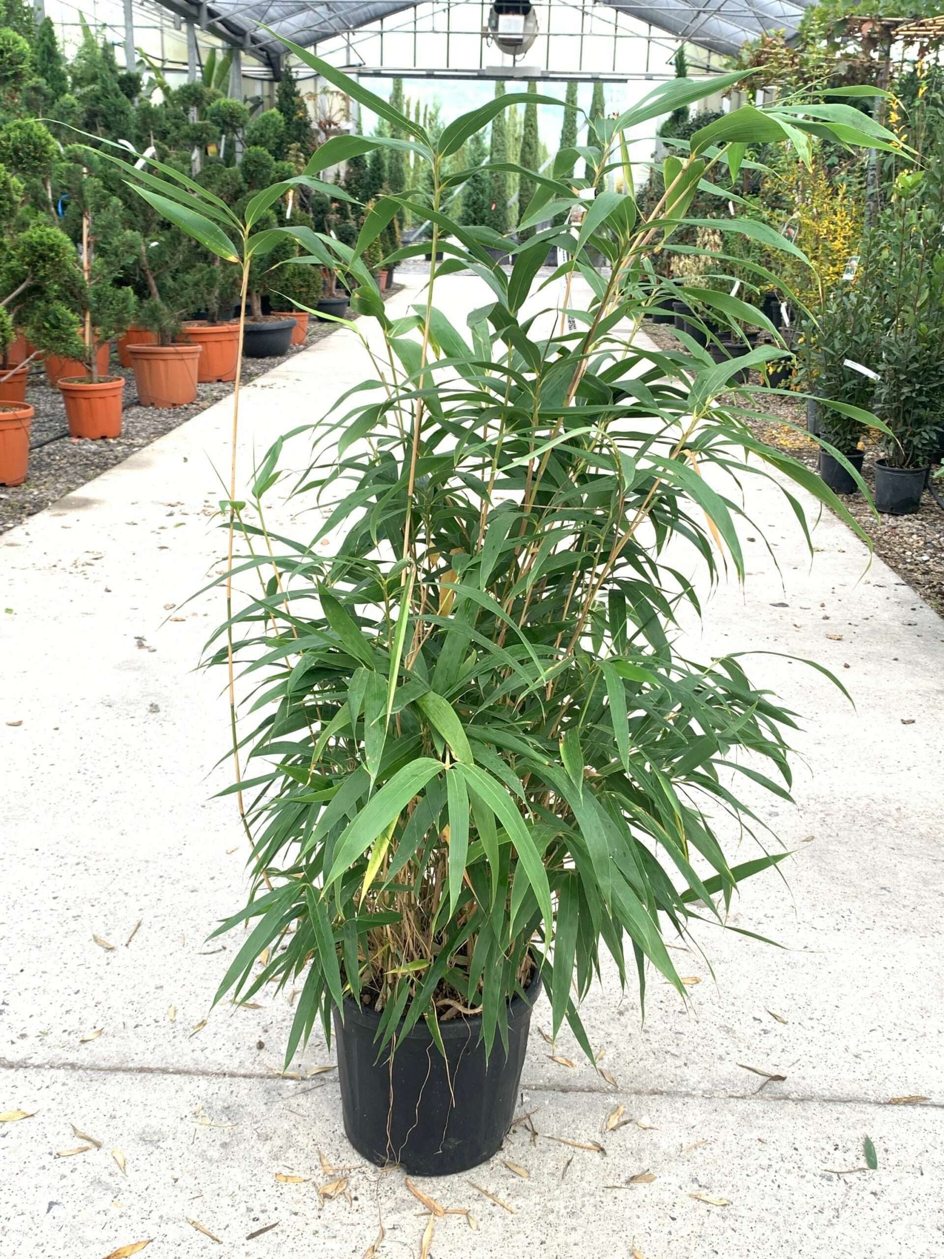 1637576370 scaled 6068fbed