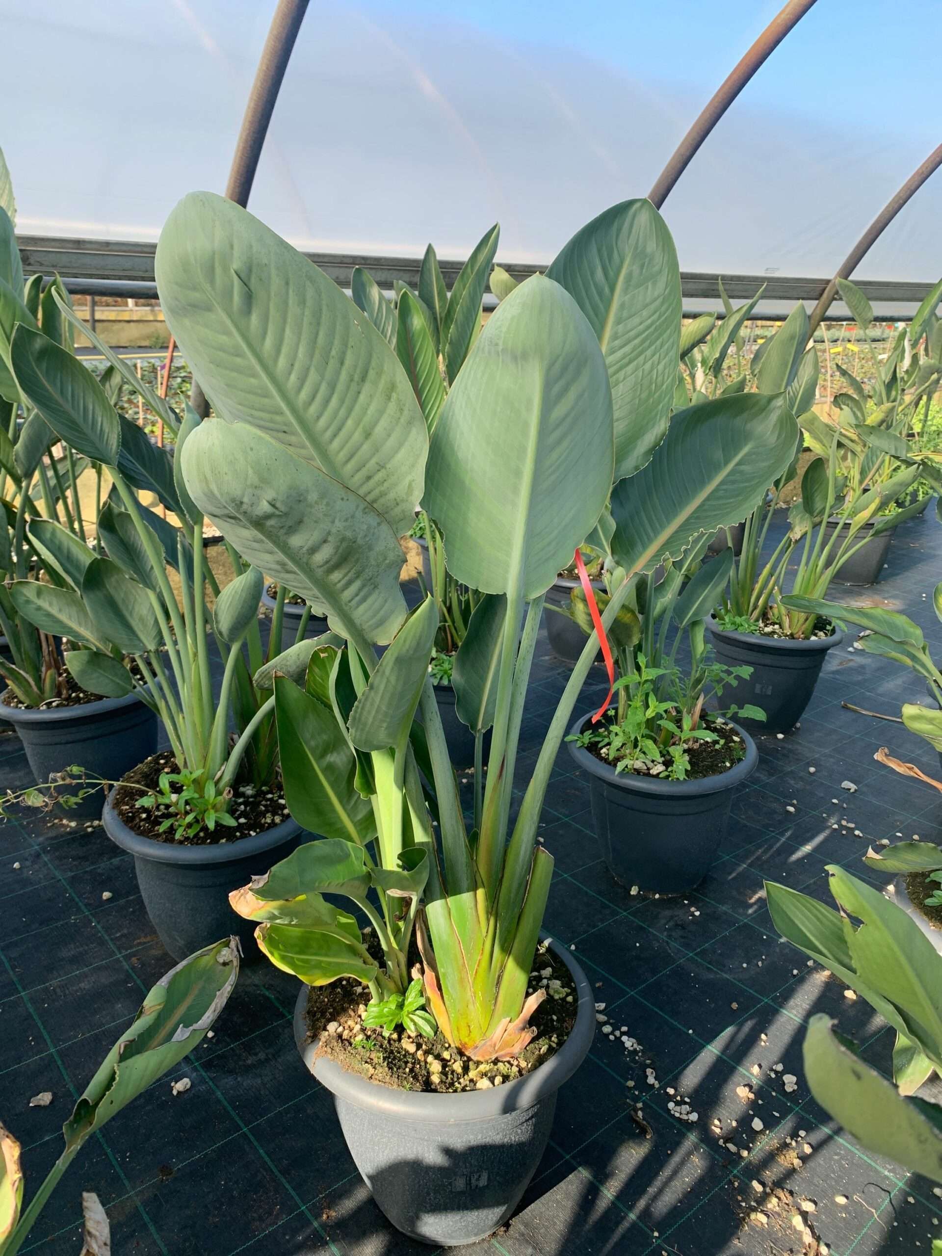 1637749995 scaled 609c2cbe