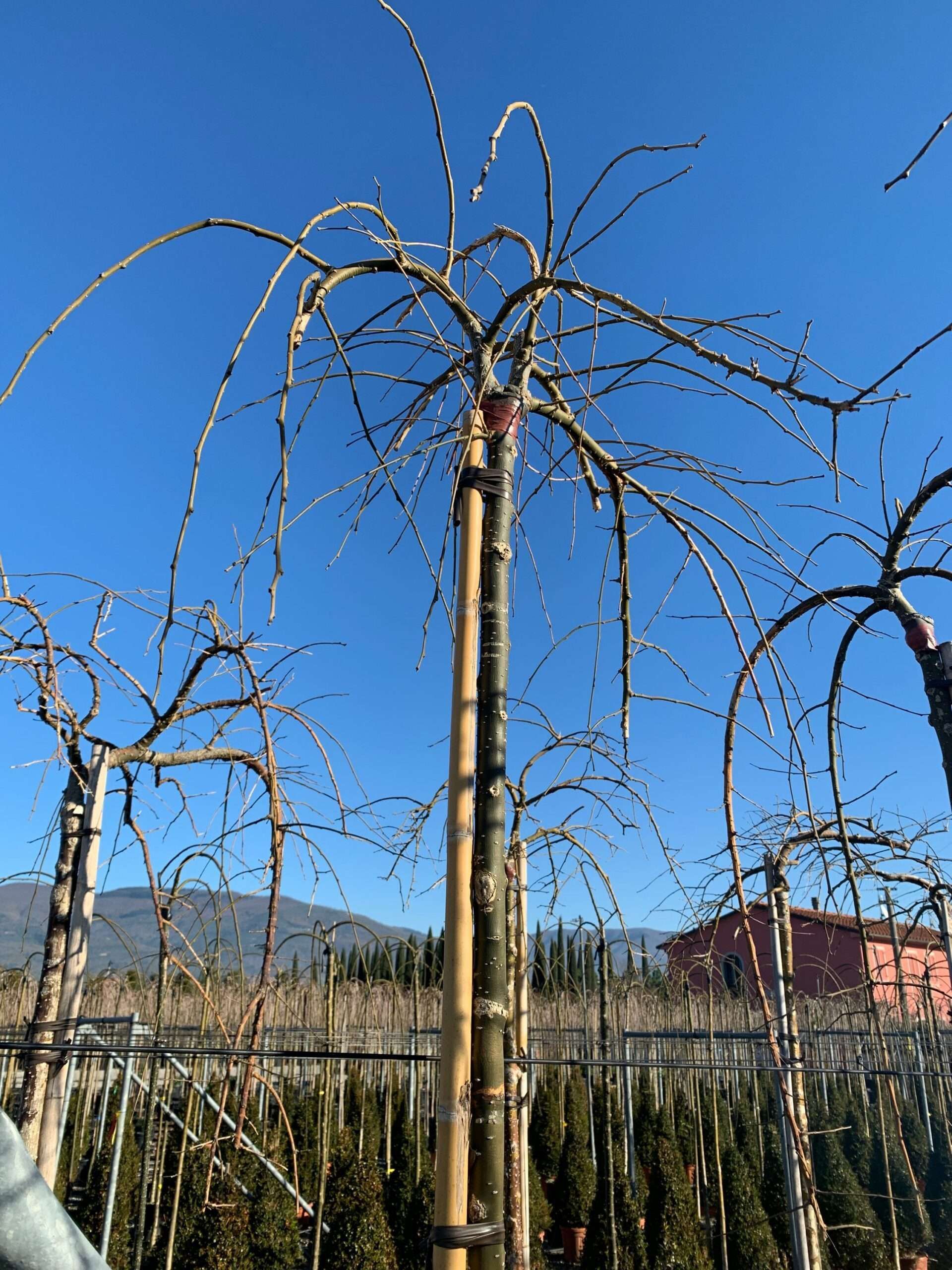 1638870293 scaled 6011ec22