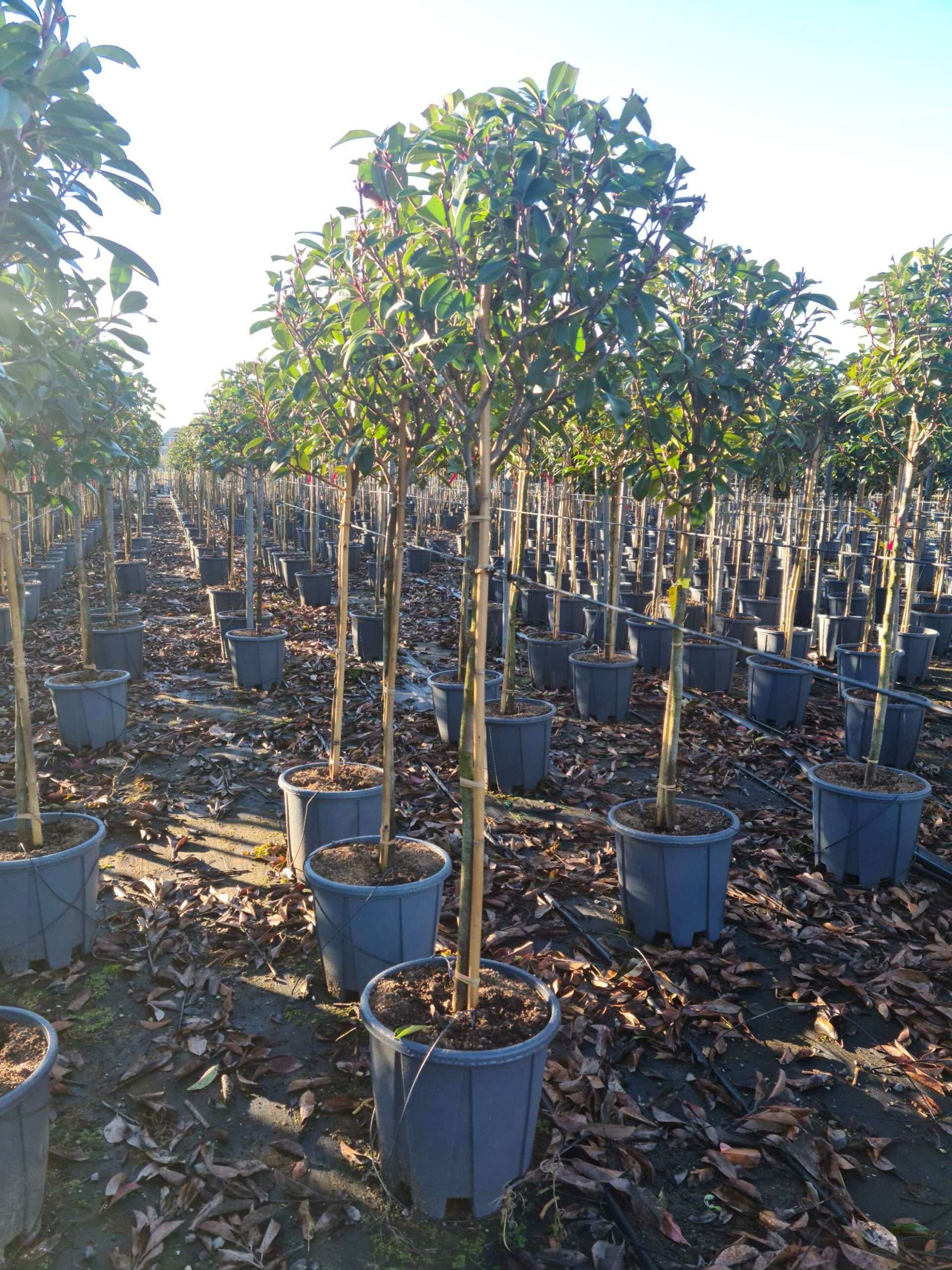 1639642563 scaled 60ac0036