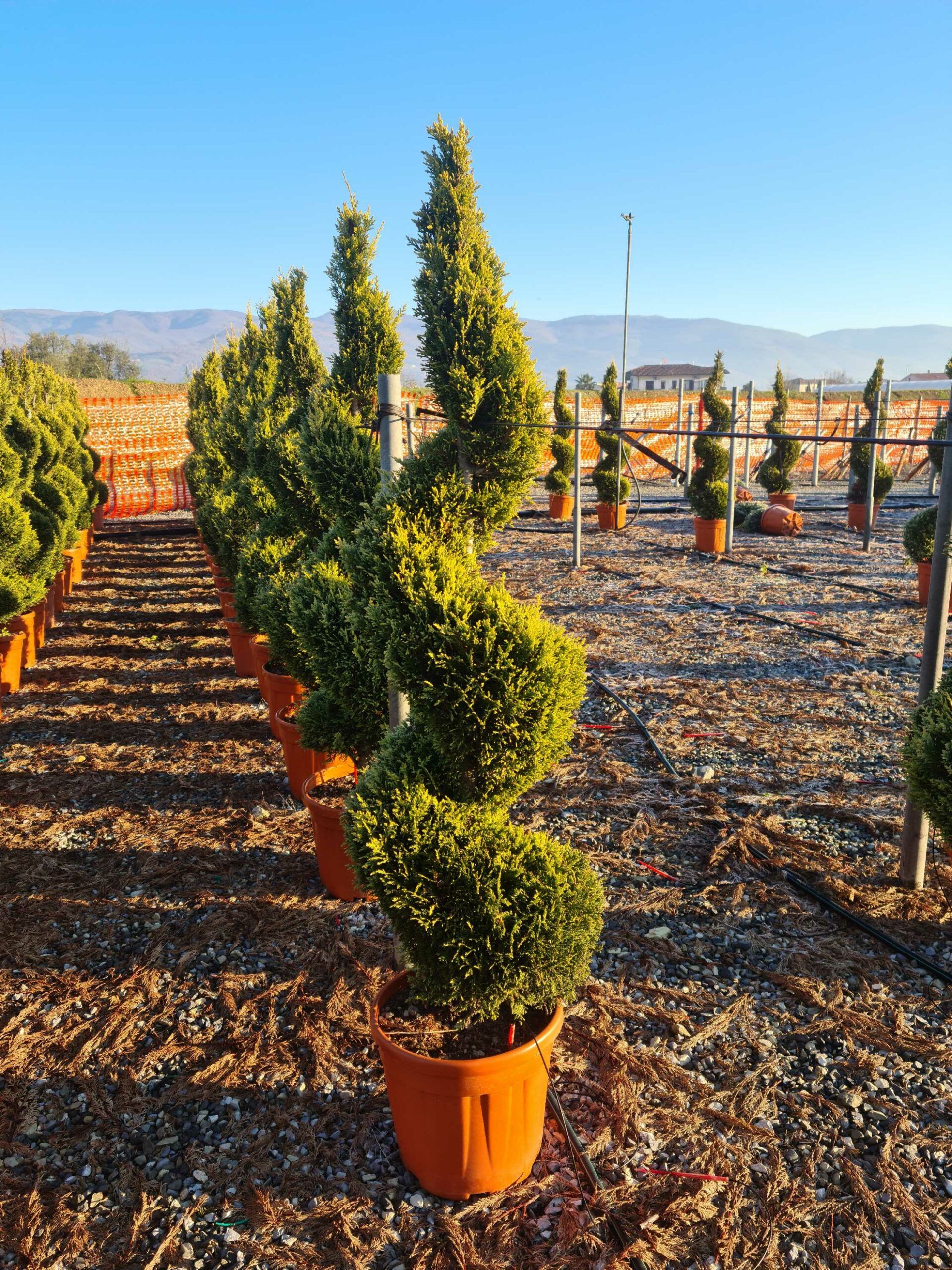 1639814968 scaled 60146bc2