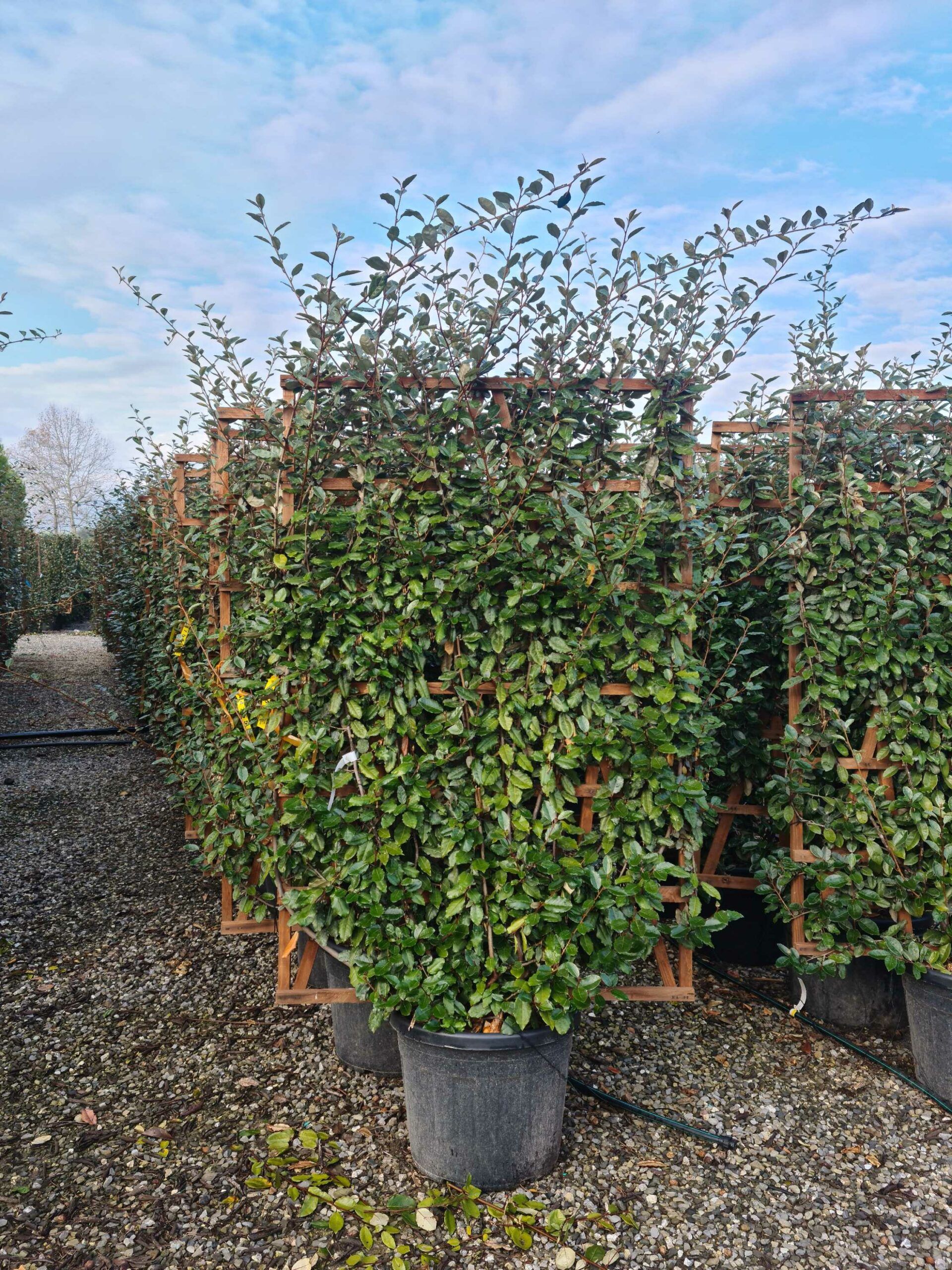 1640164776 scaled 607aa1e7