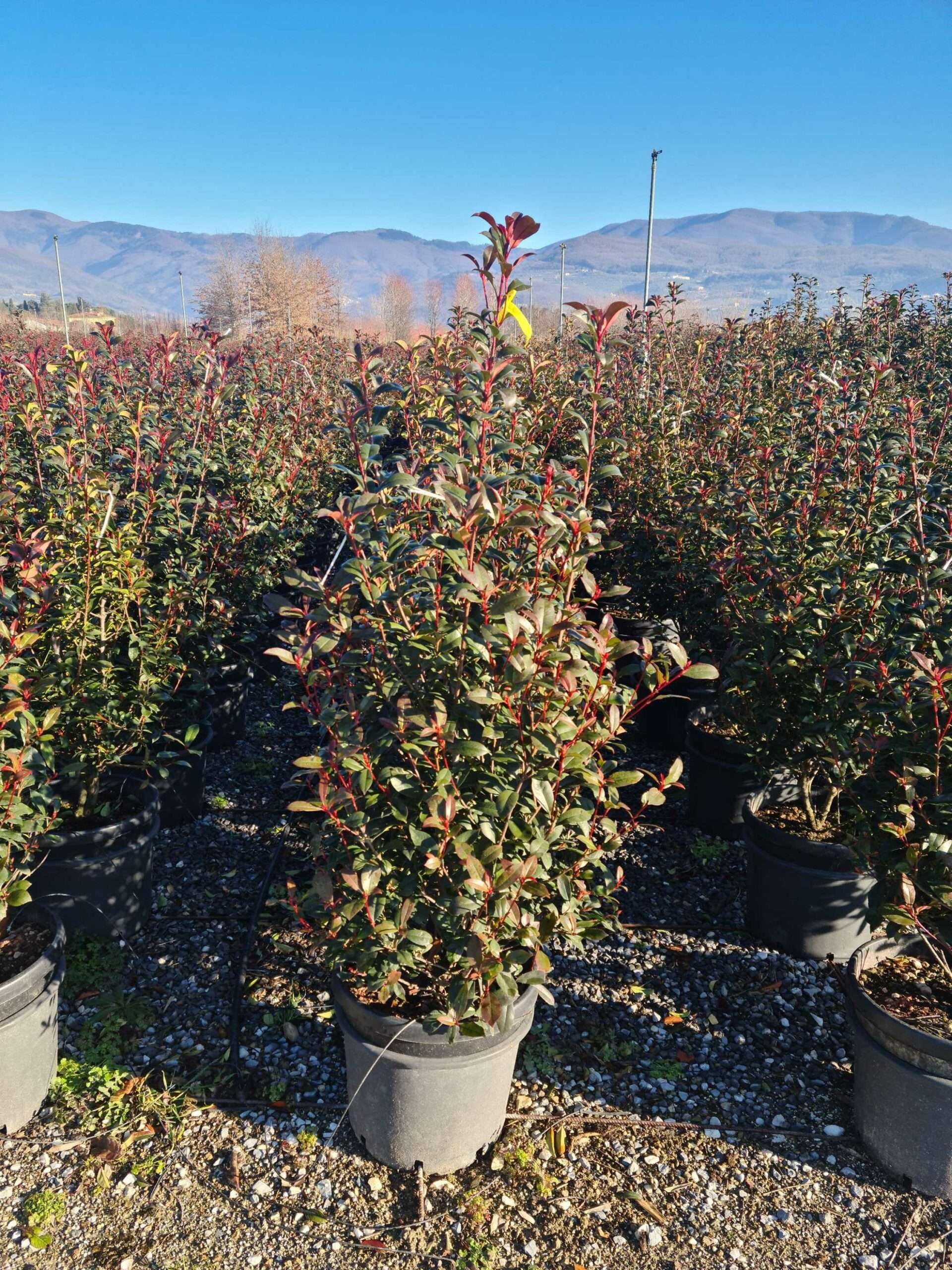 1642840949 scaled 6046f061