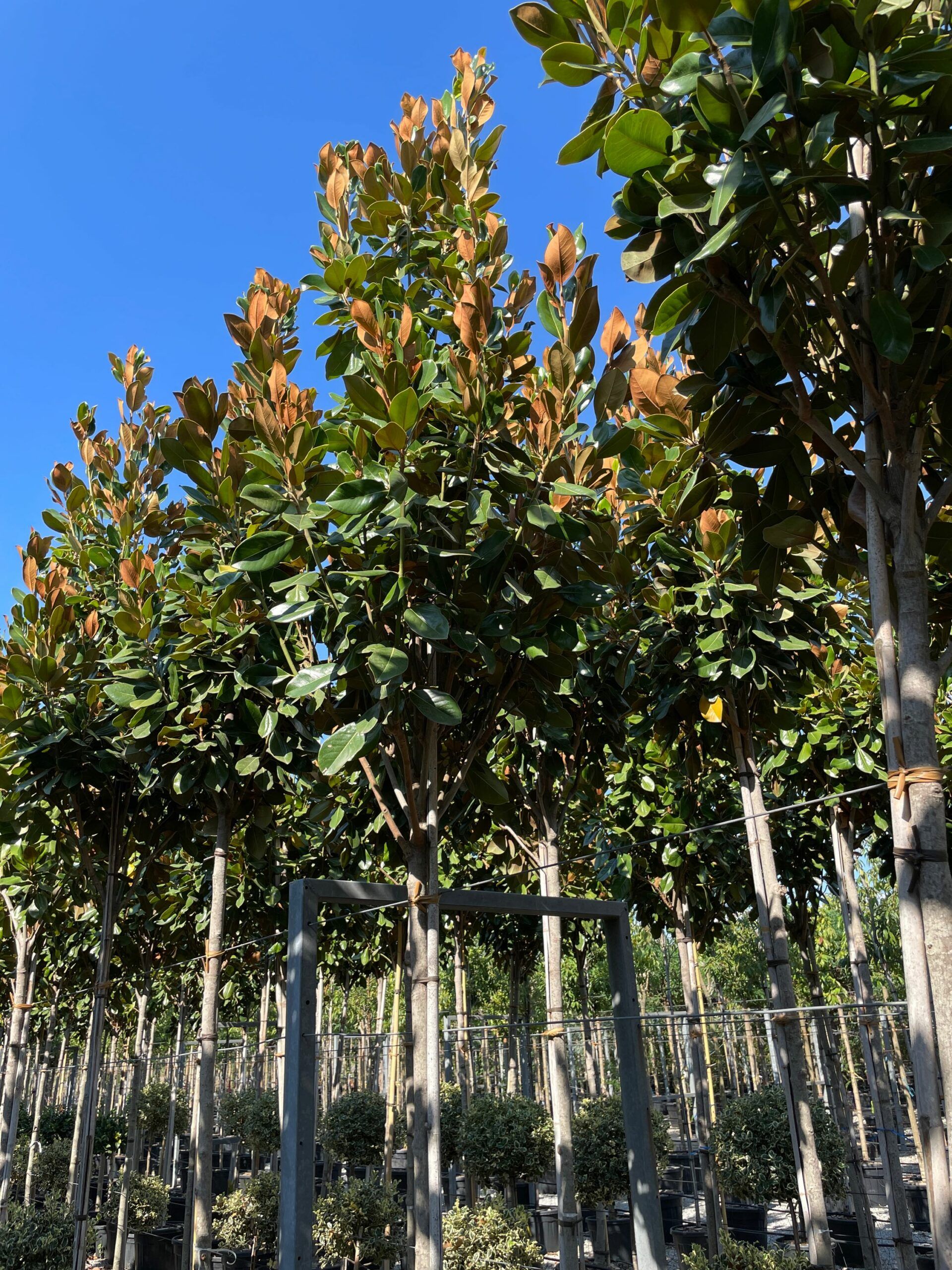 1660228594 scaled 60794054