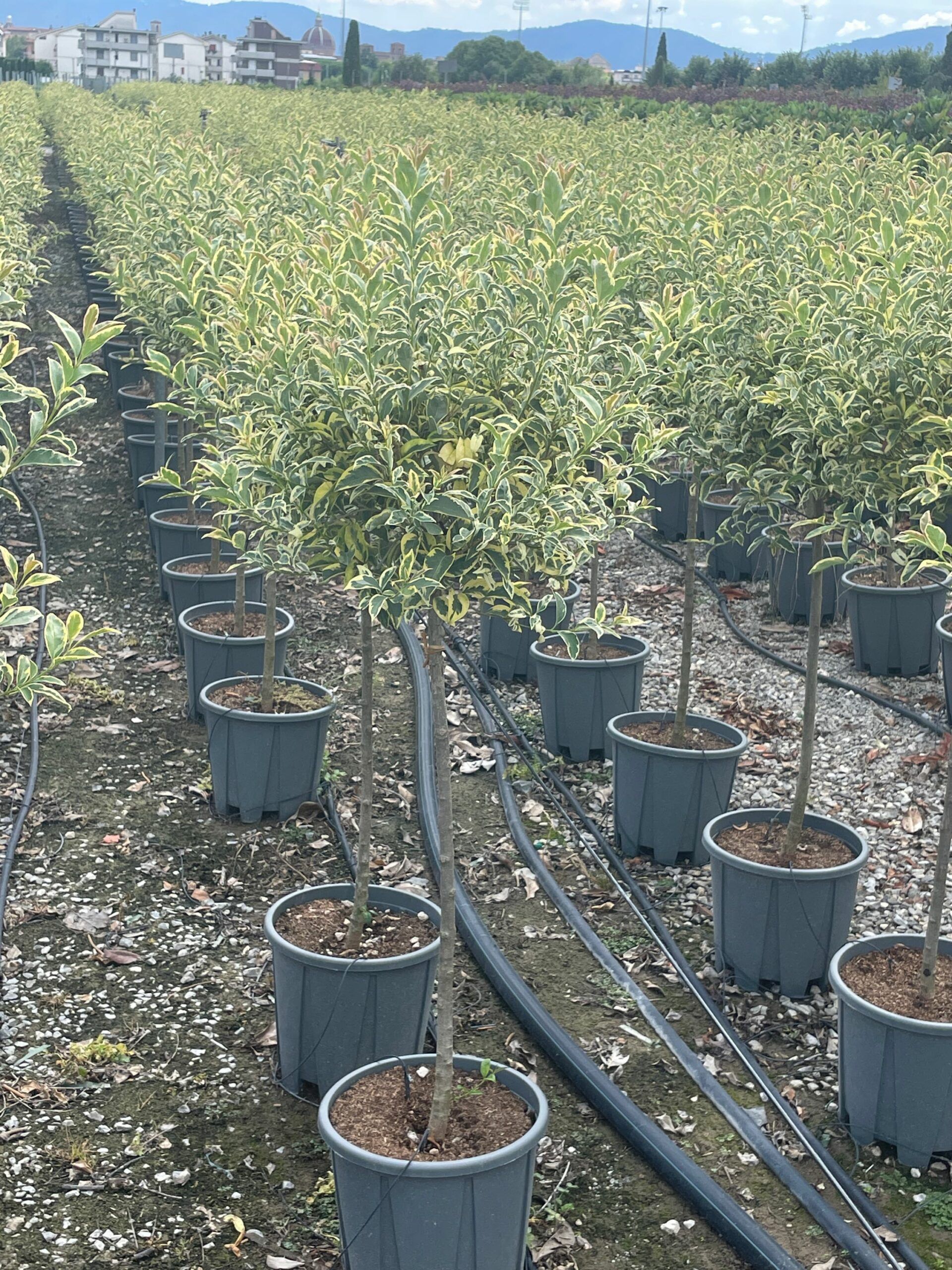 1661950849 scaled 60c1badb