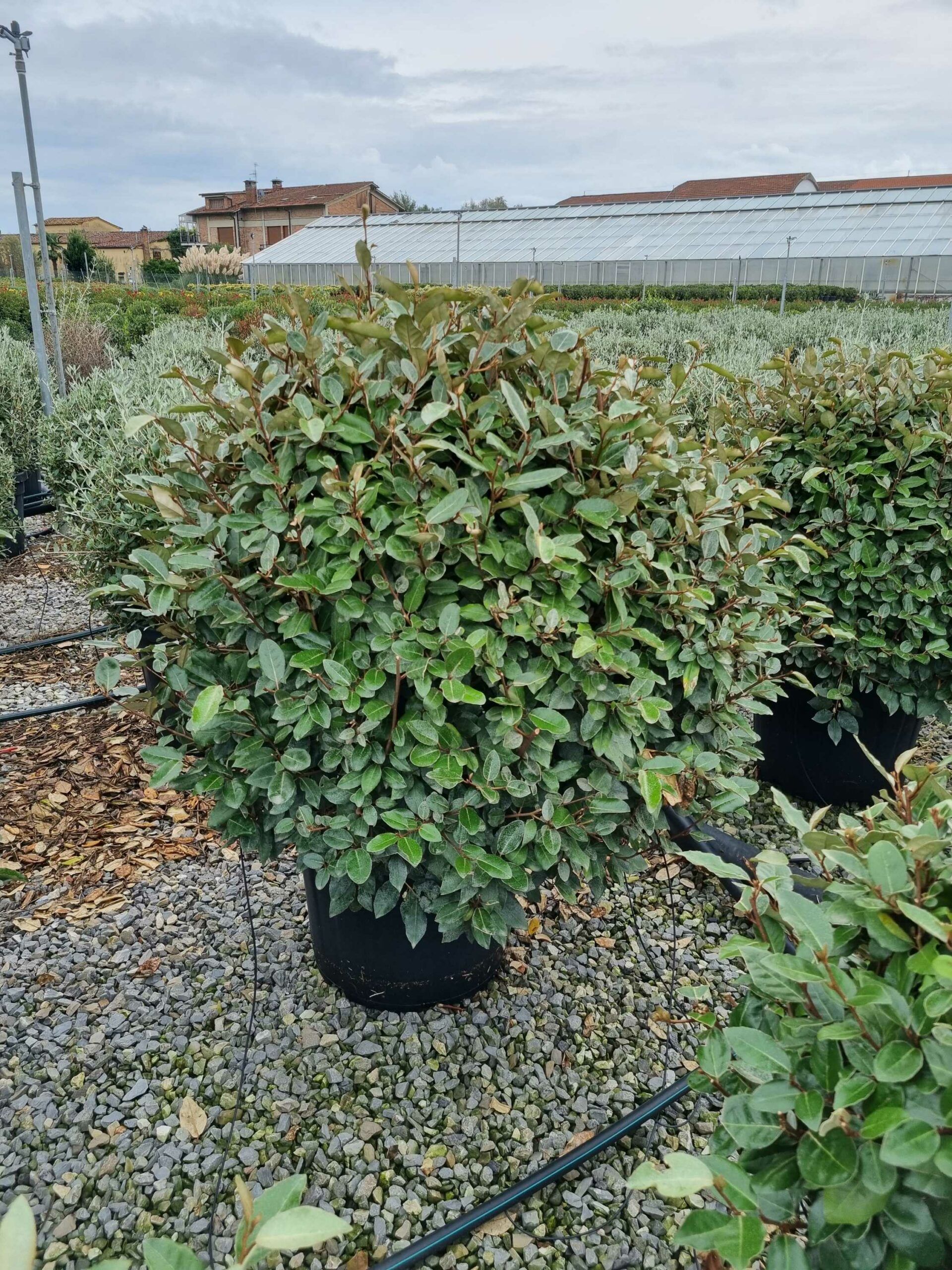 1665407823 scaled 6031e1c3