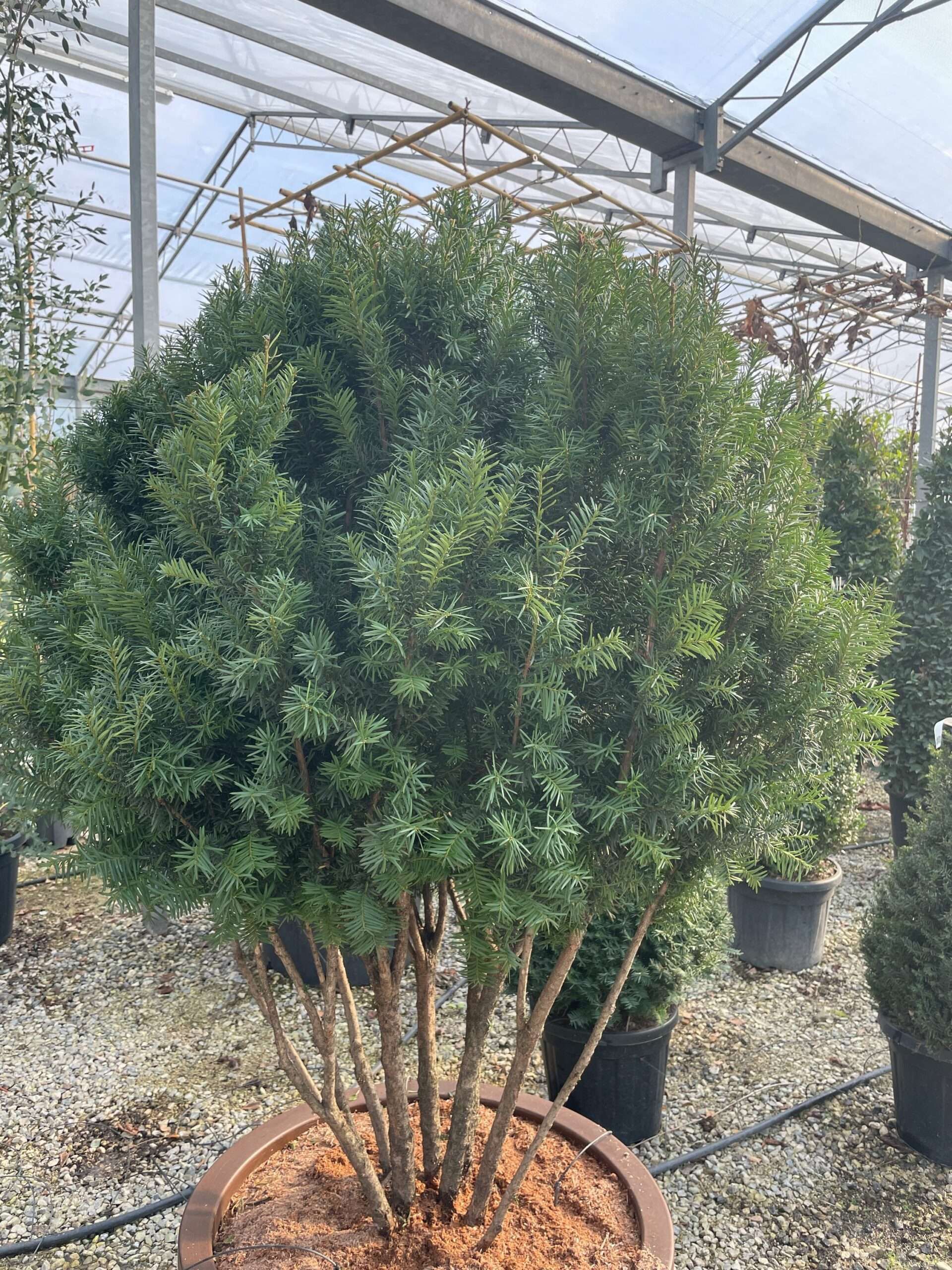 1675256523 scaled 6017eb0c