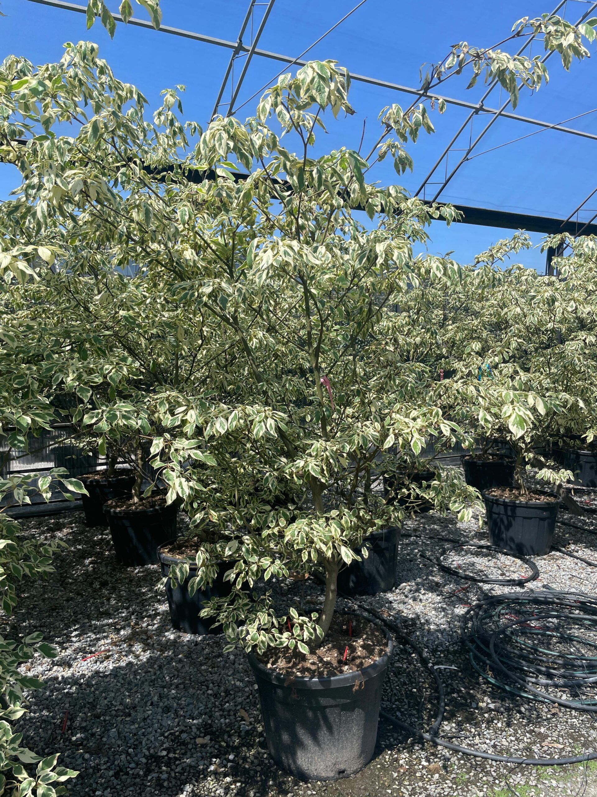 1692872755 scaled 60271e87