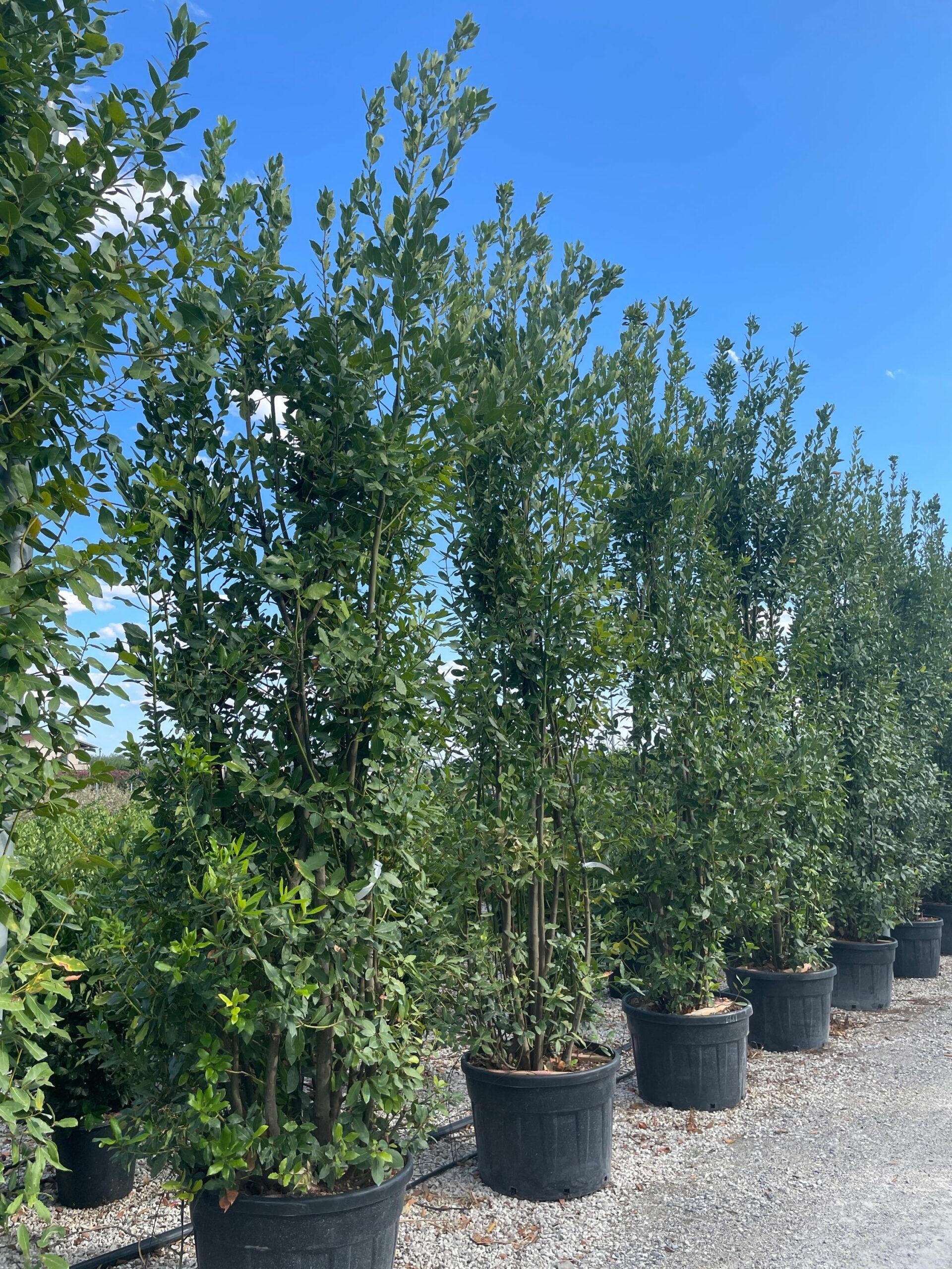 1630594058 scaled 6121c897