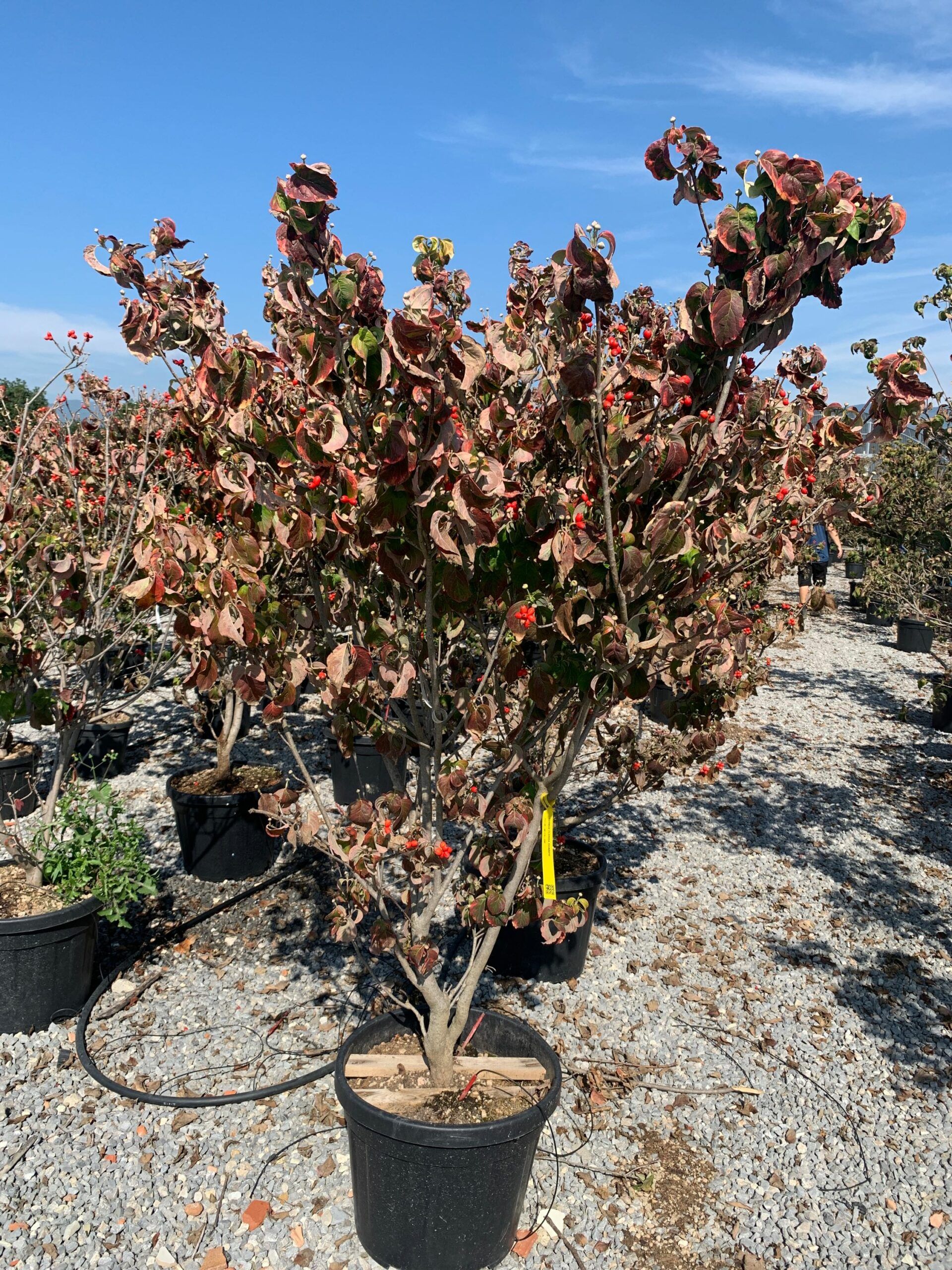 1632909748 scaled 61a06717