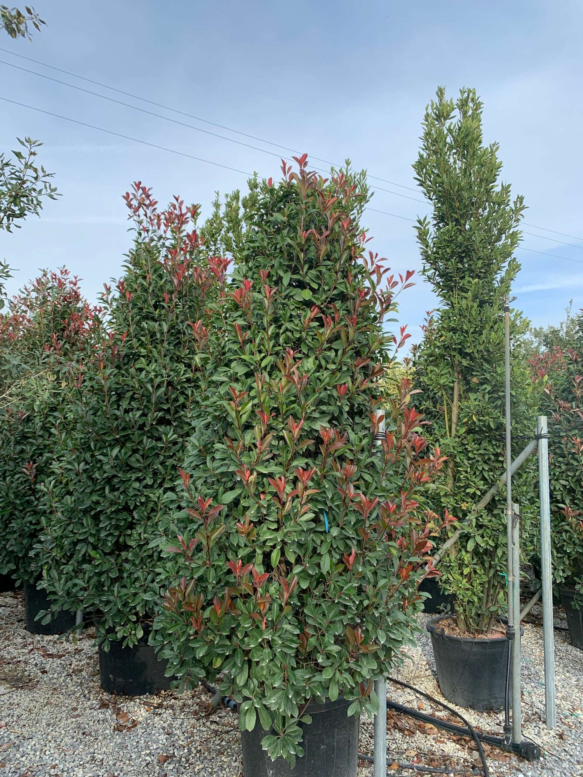 1635172157 scaled 61144ac8