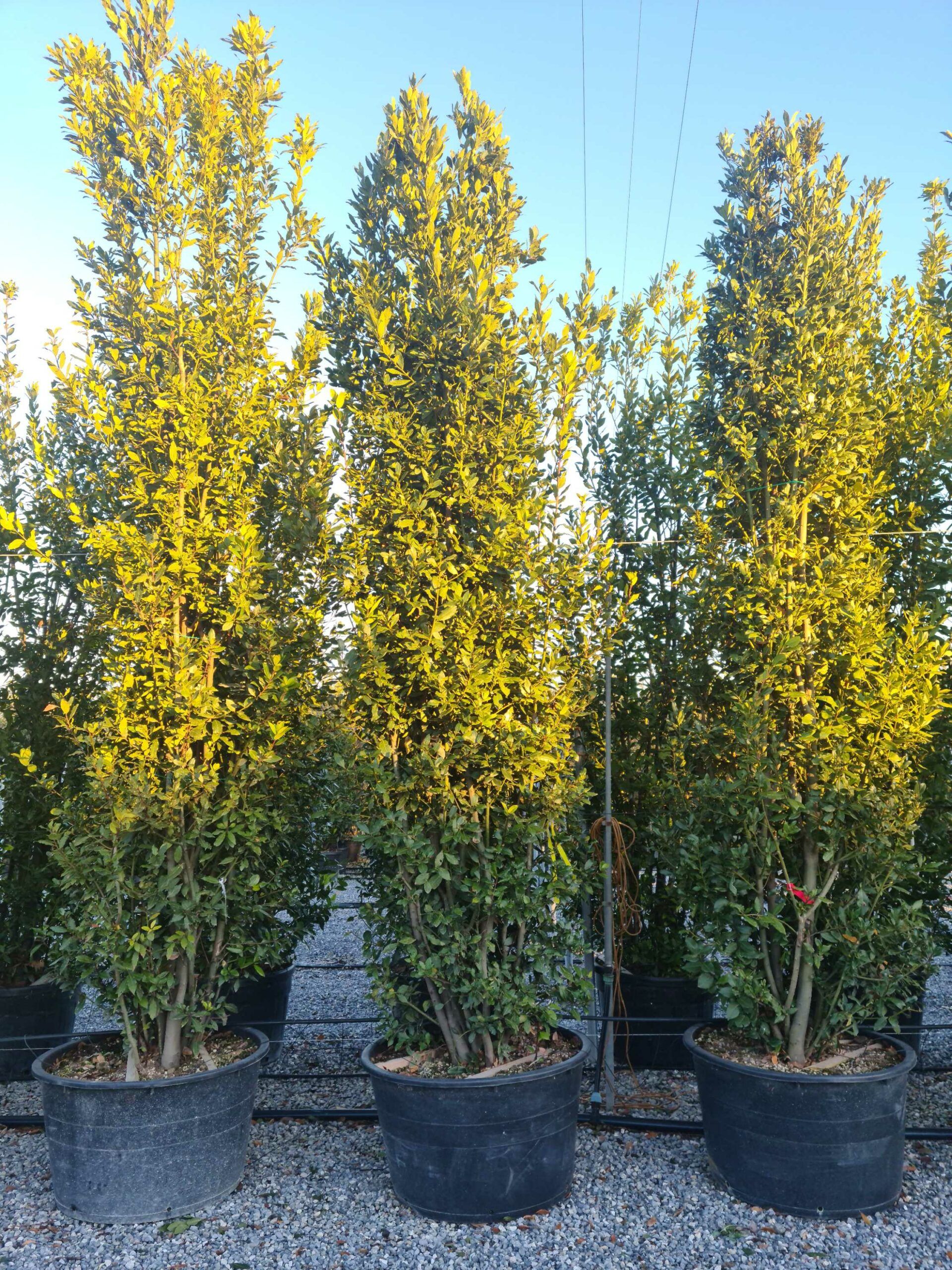 1639666834 scaled 614520bc