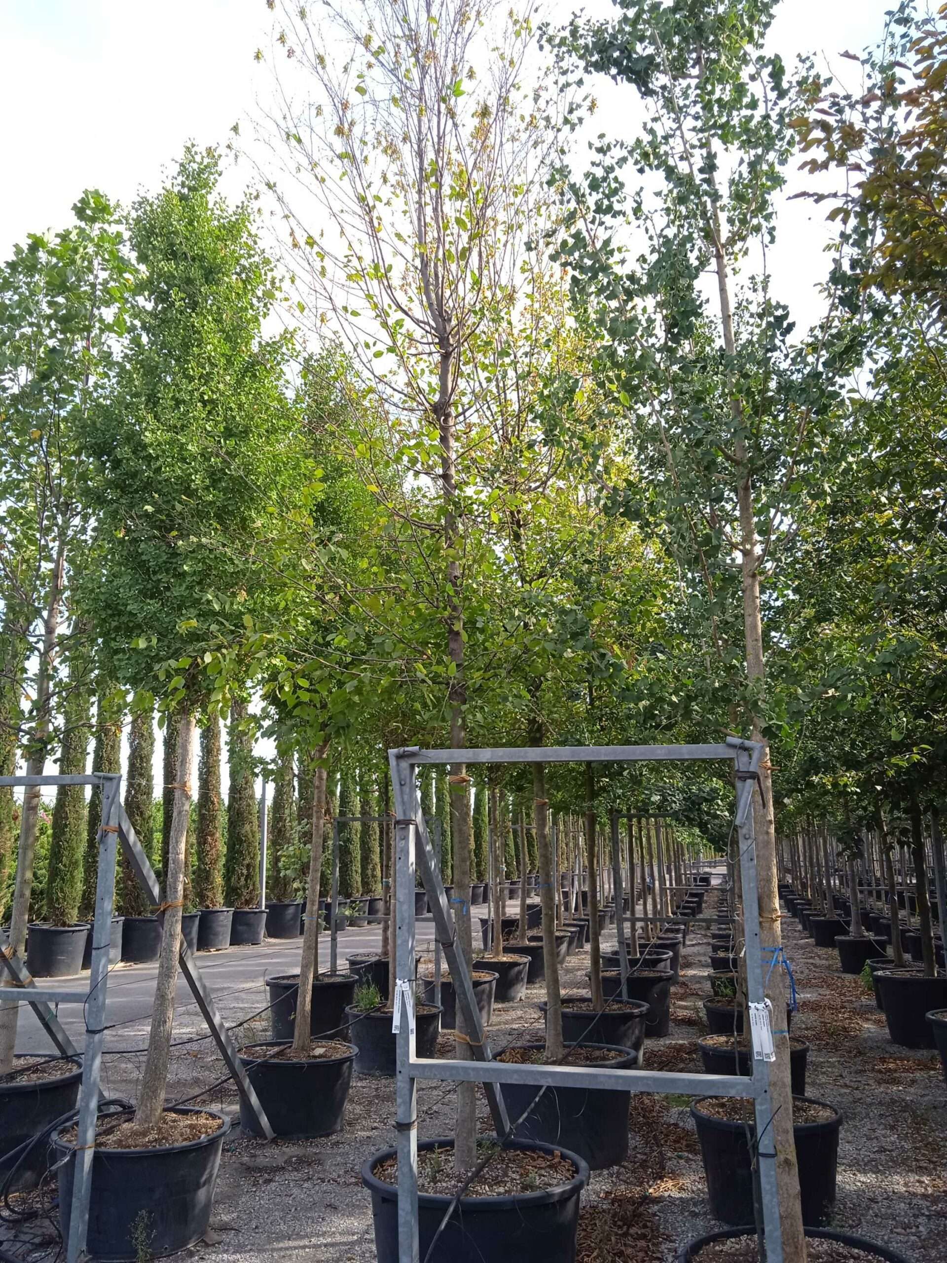 1662129578 scaled 61a1a5a7