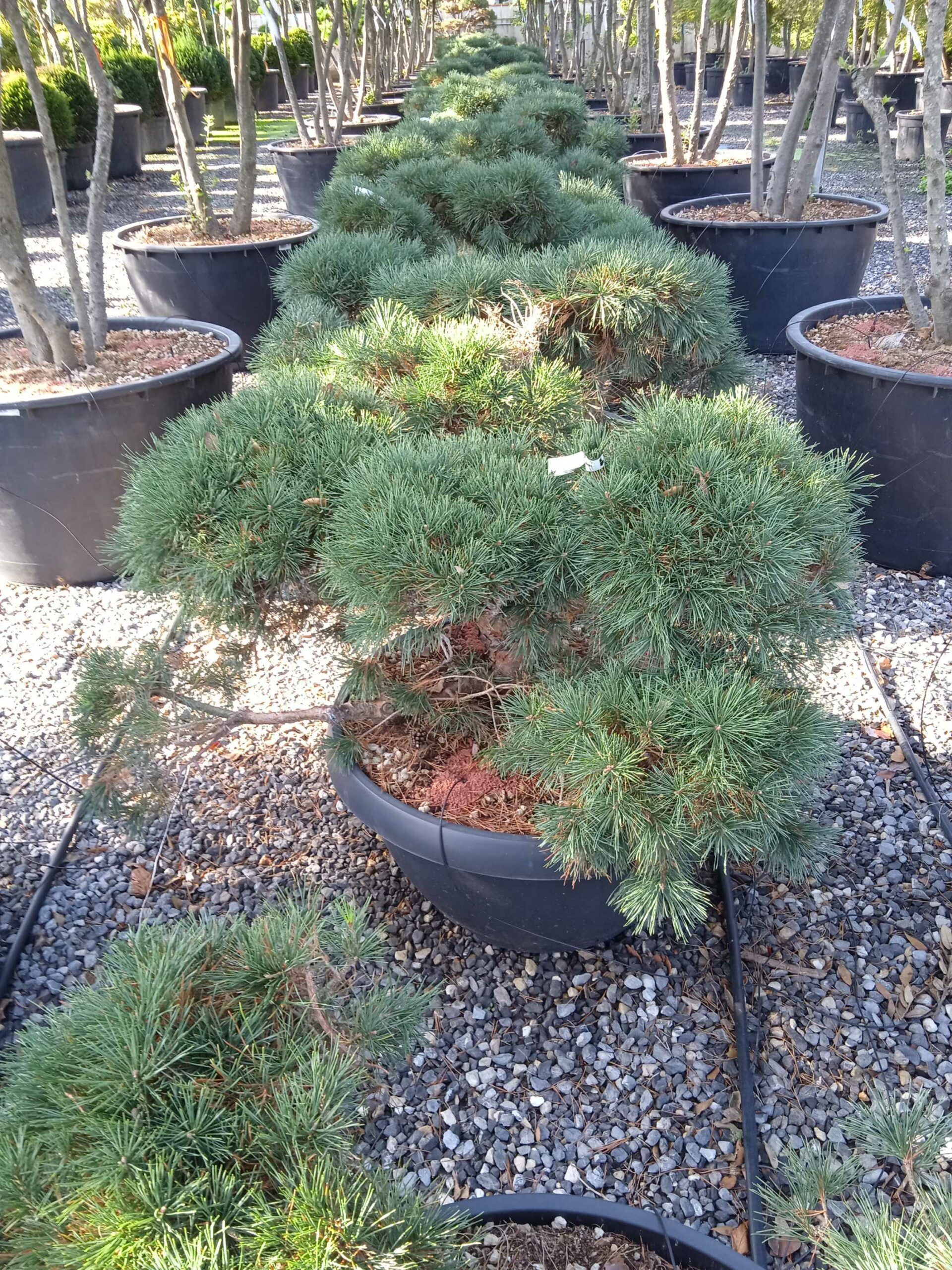 1662362087 scaled 61908ebb