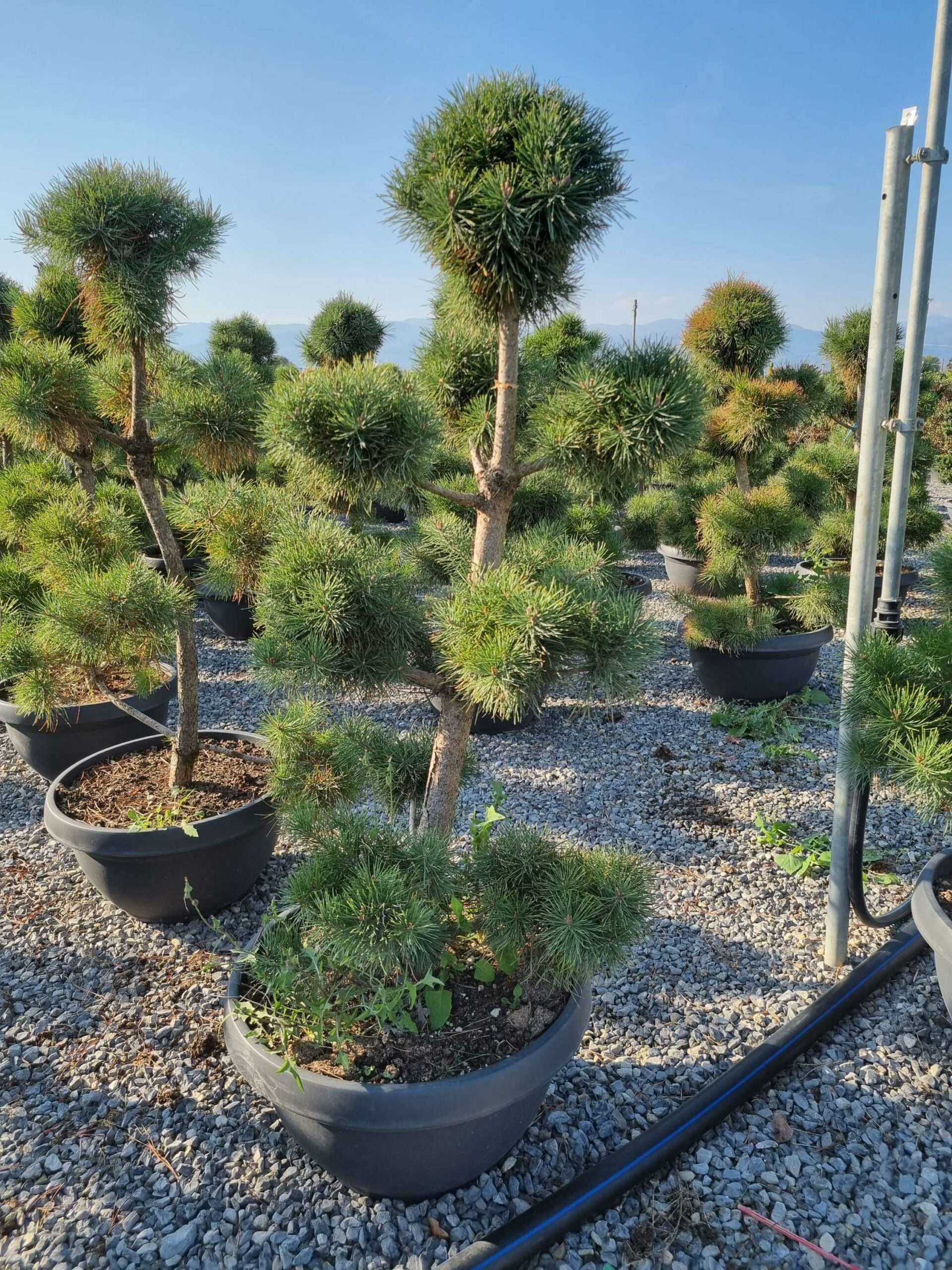 1665152631 scaled 61d7df8b