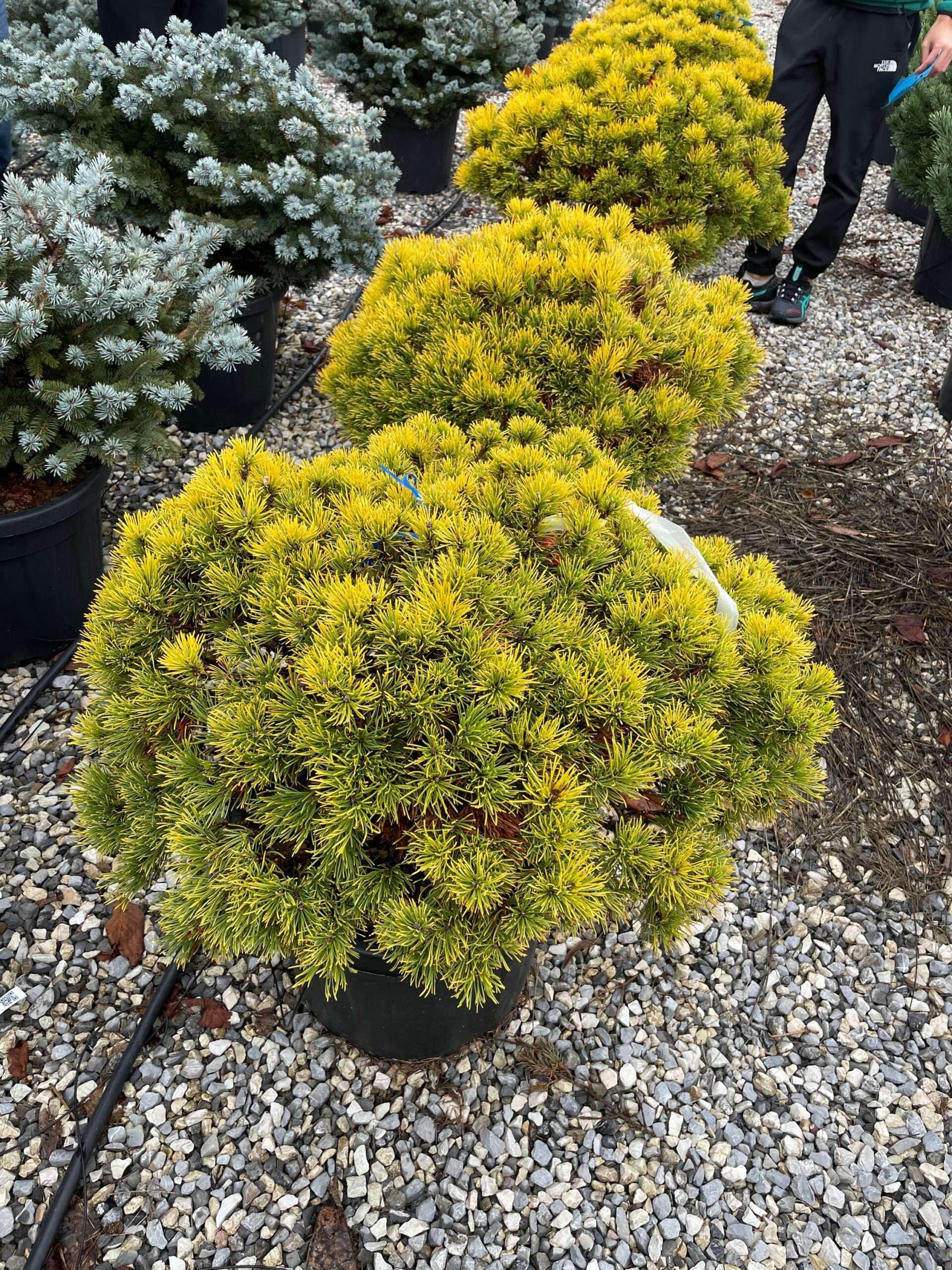 1669199184 scaled 61eb1a89