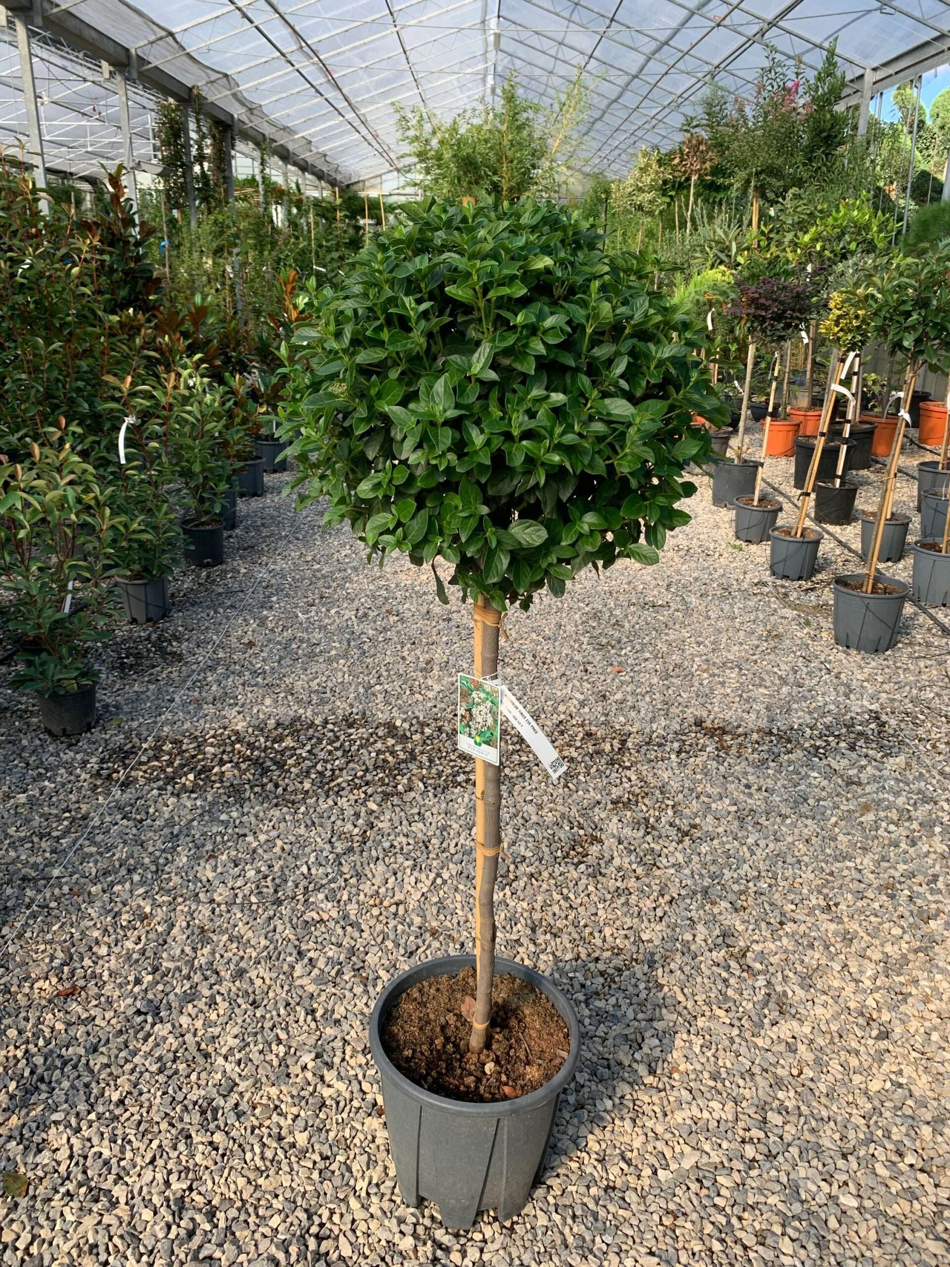 1632835764 scaled 627e6a23