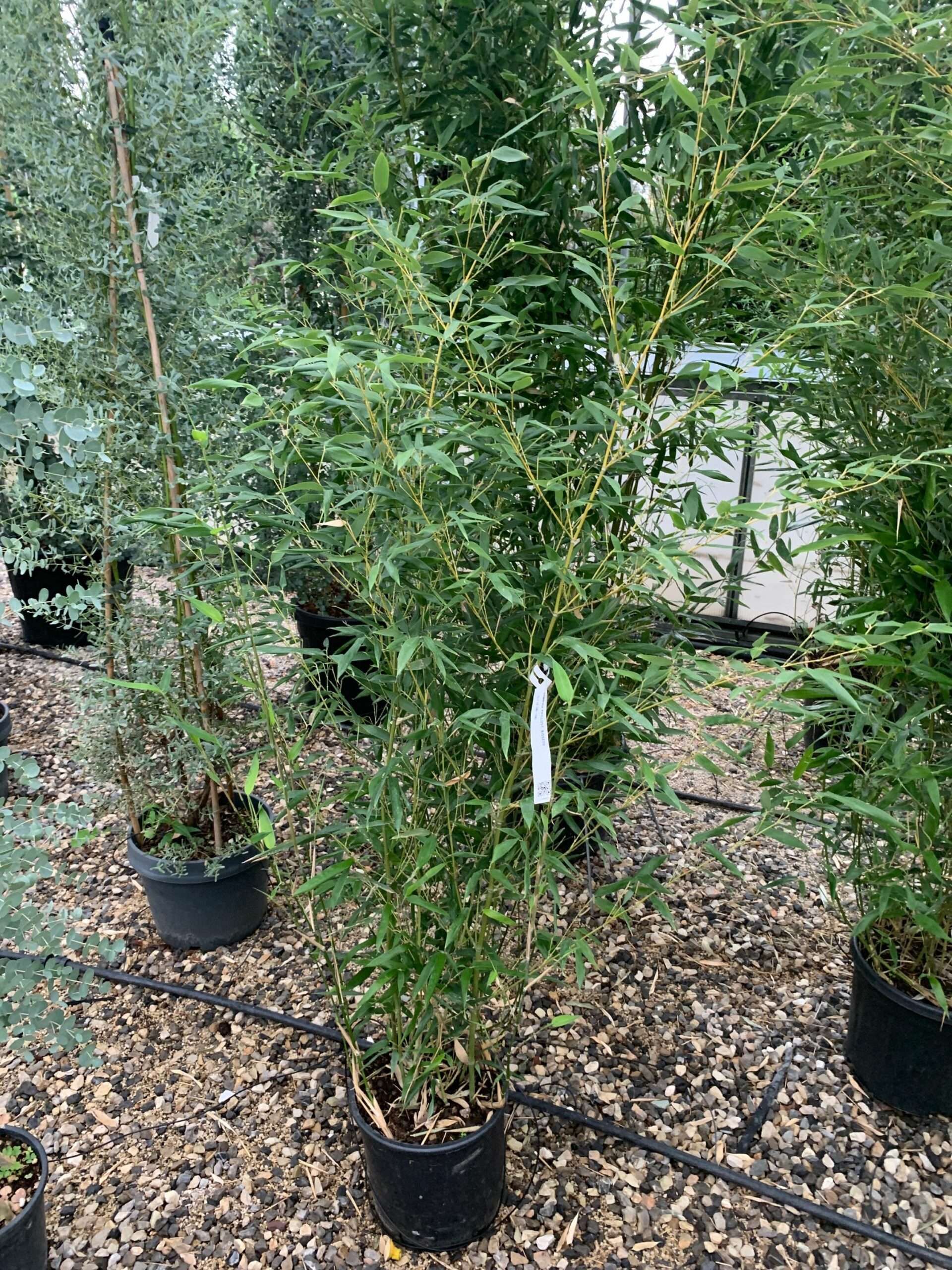 1633336073 scaled 62938998