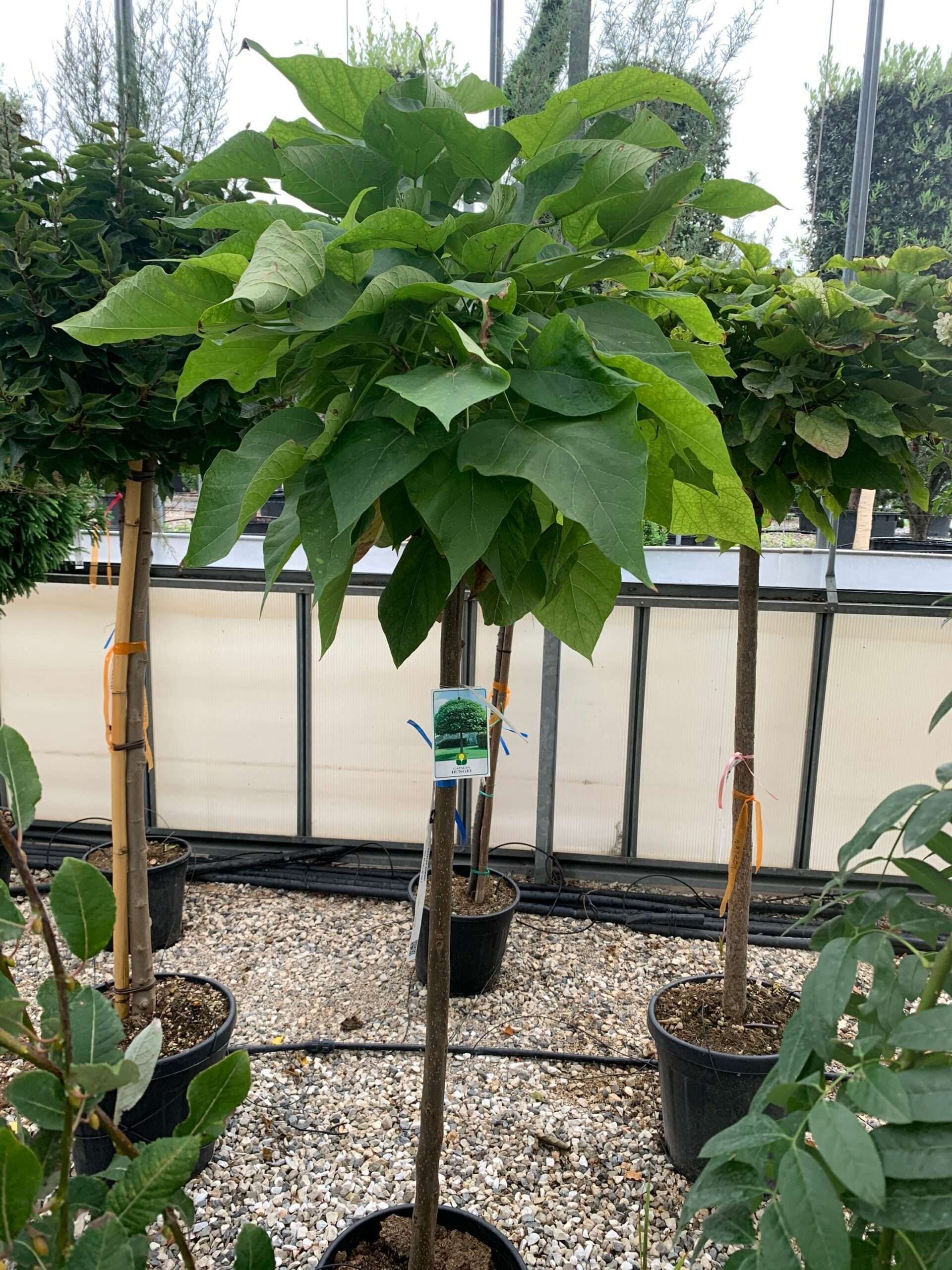 1633336950 scaled 6274d5be