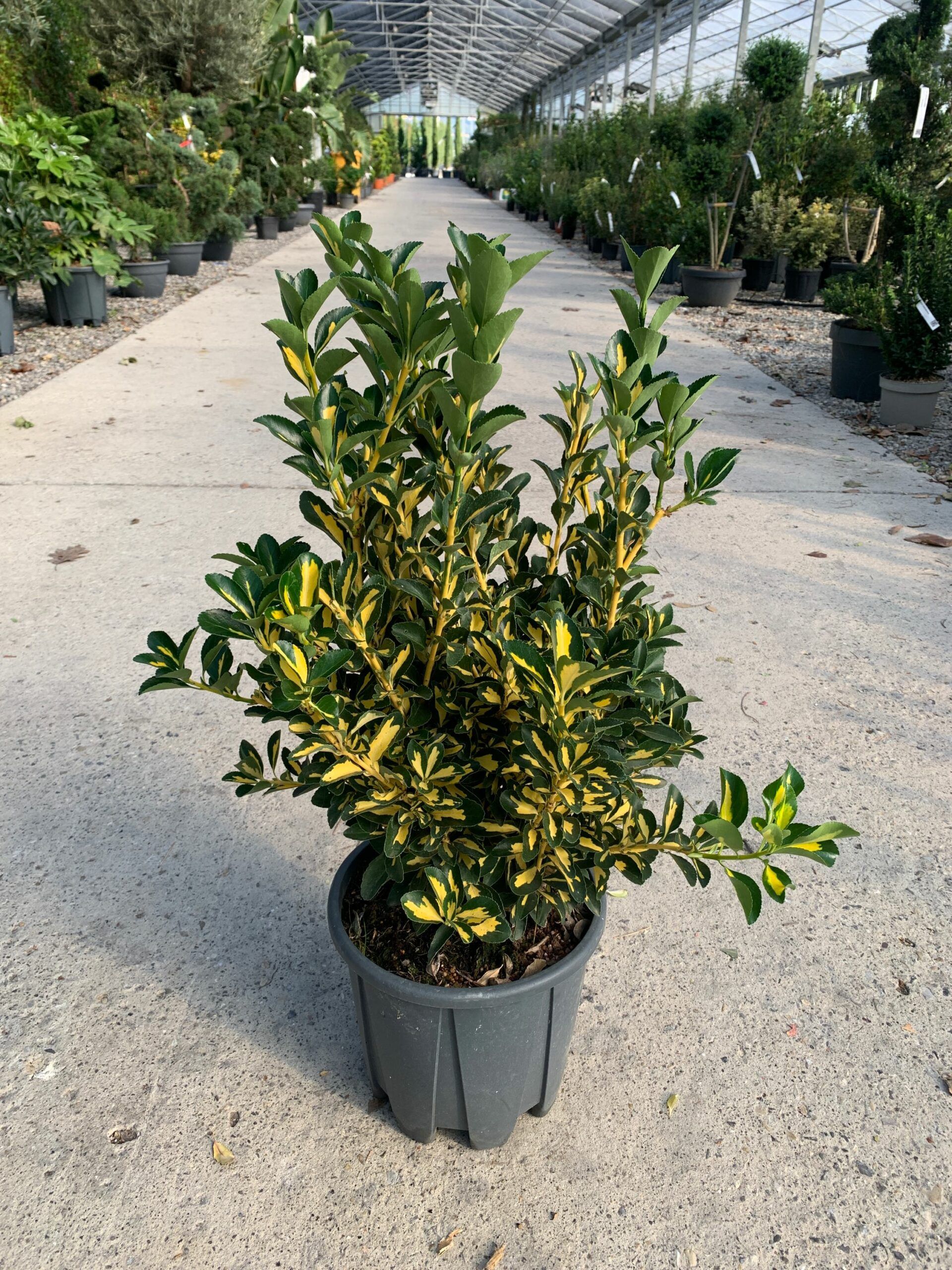 1634637302 scaled 62a31d8f