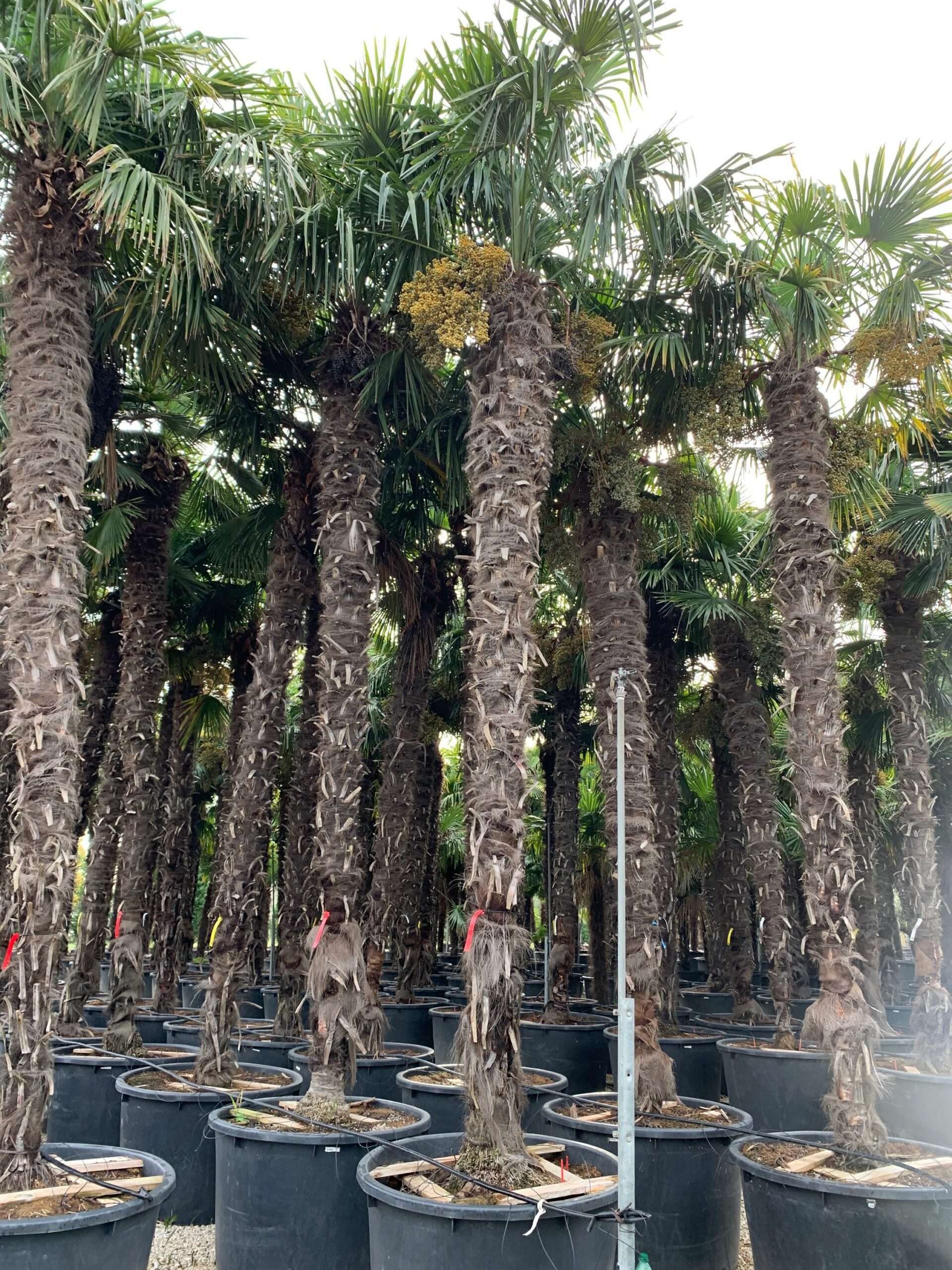 1636101377 scaled 62eedccf