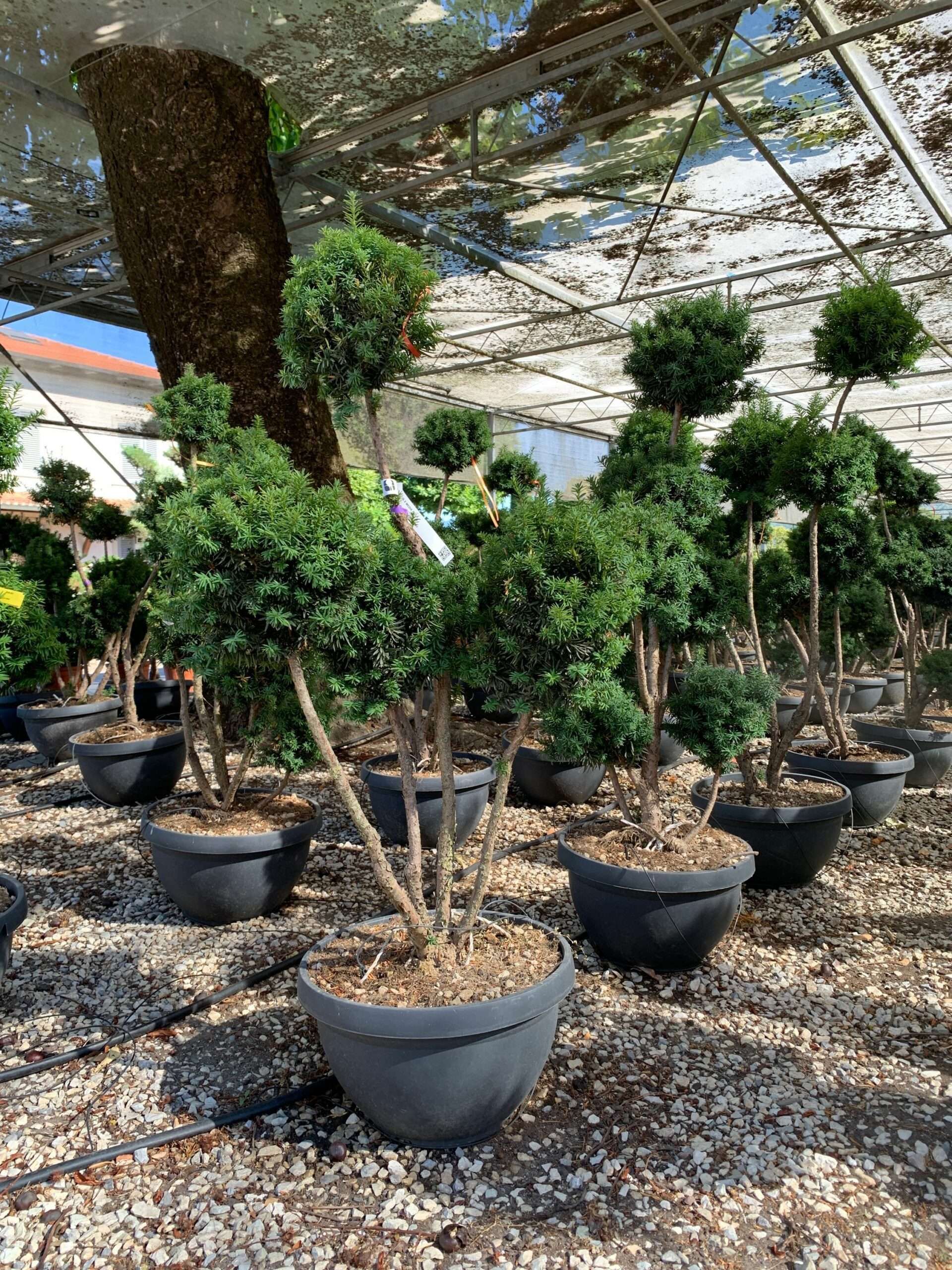 1657524266 scaled 626bd1bb