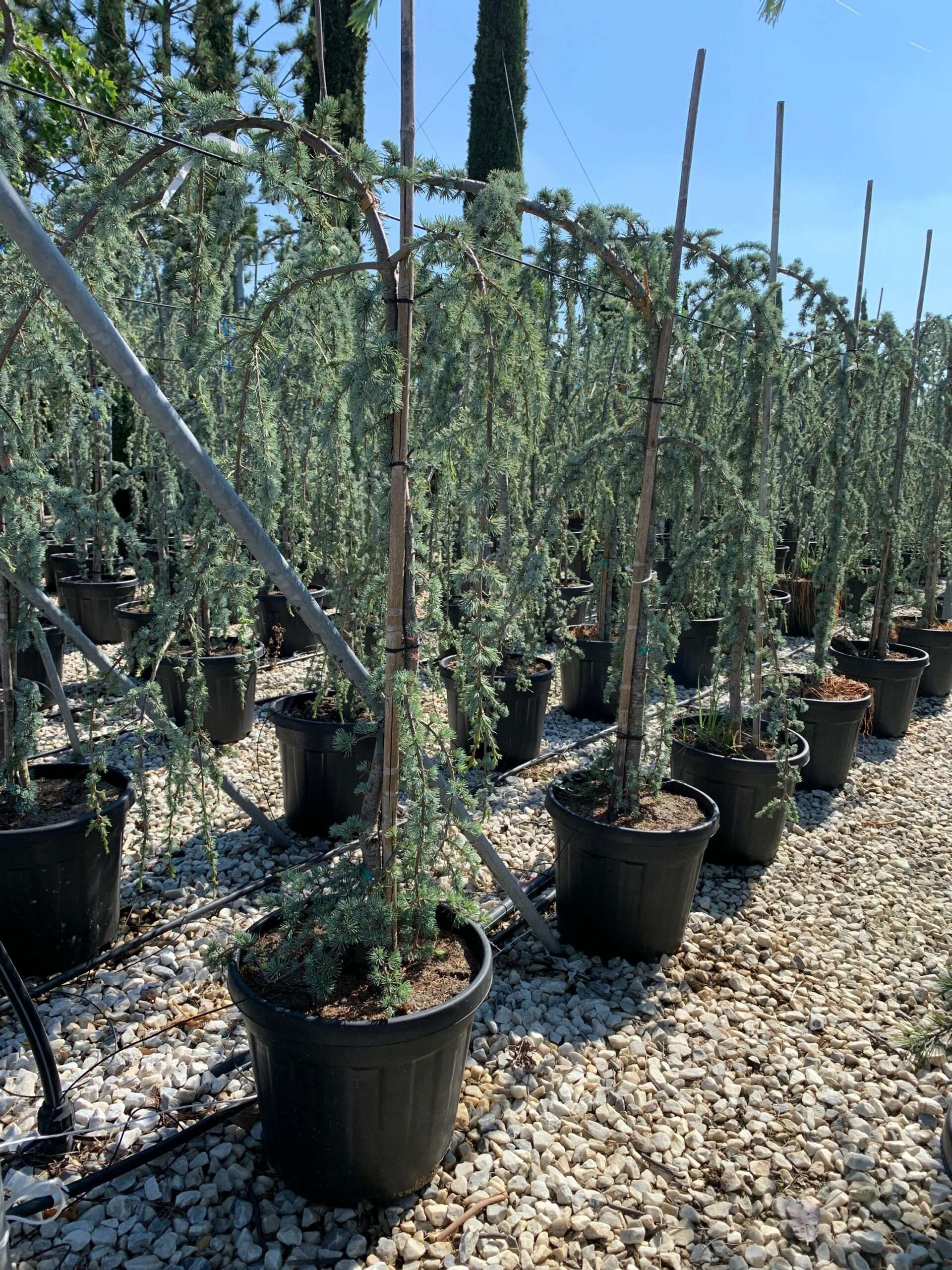 1657871805 scaled 62f0e901