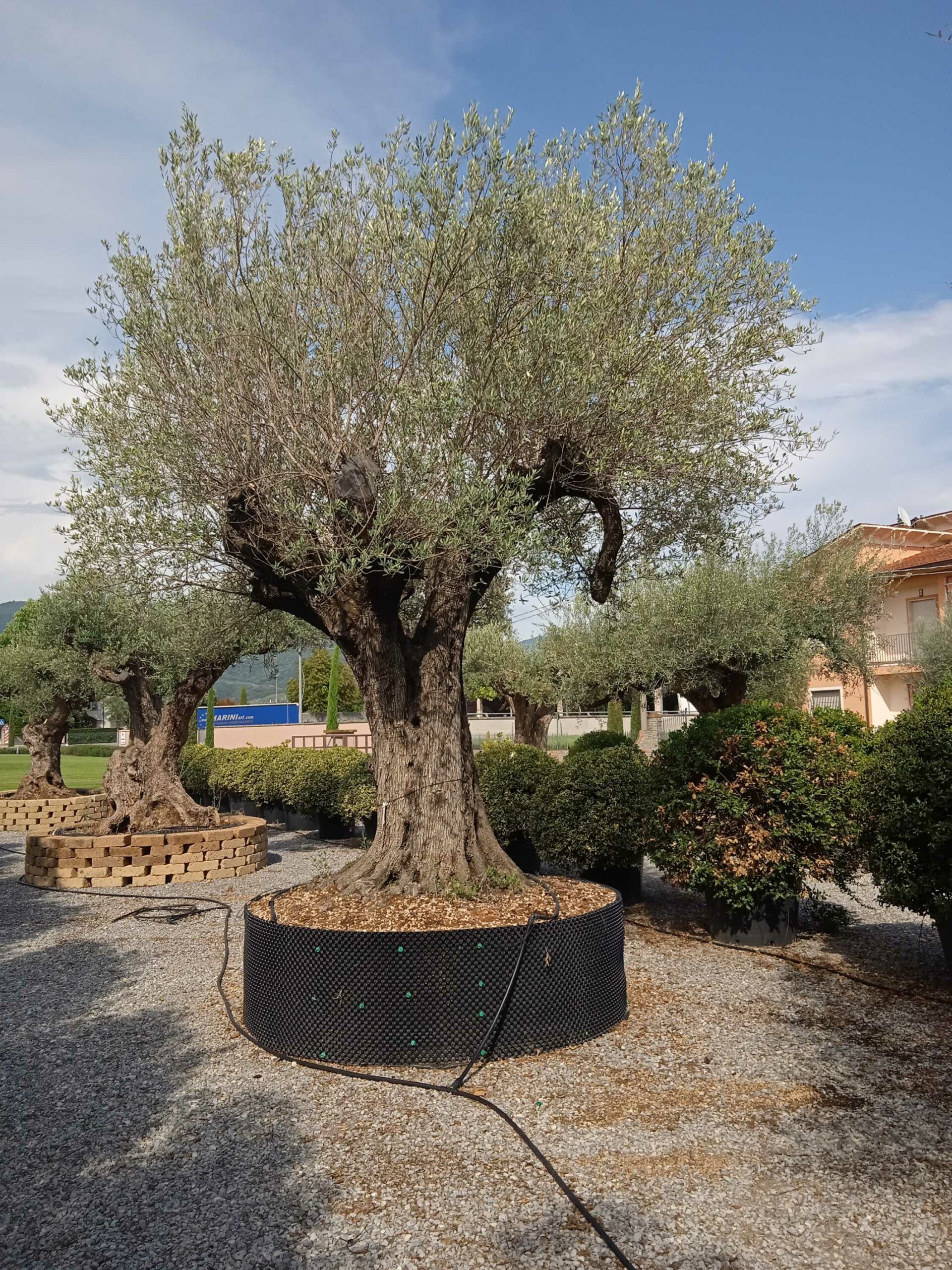 1661868289 1 scaled 6223be71