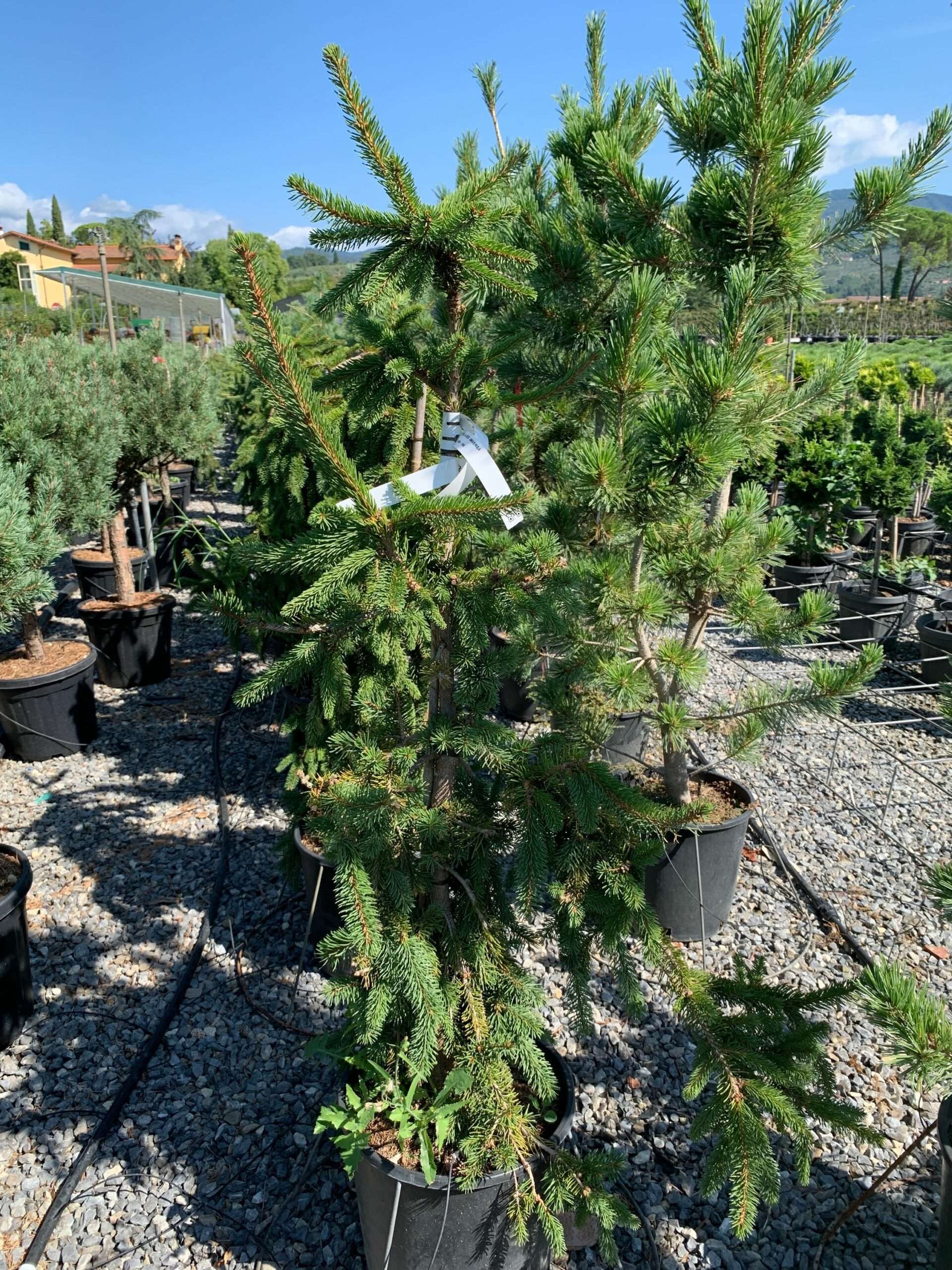 1662109593 scaled 625ef463