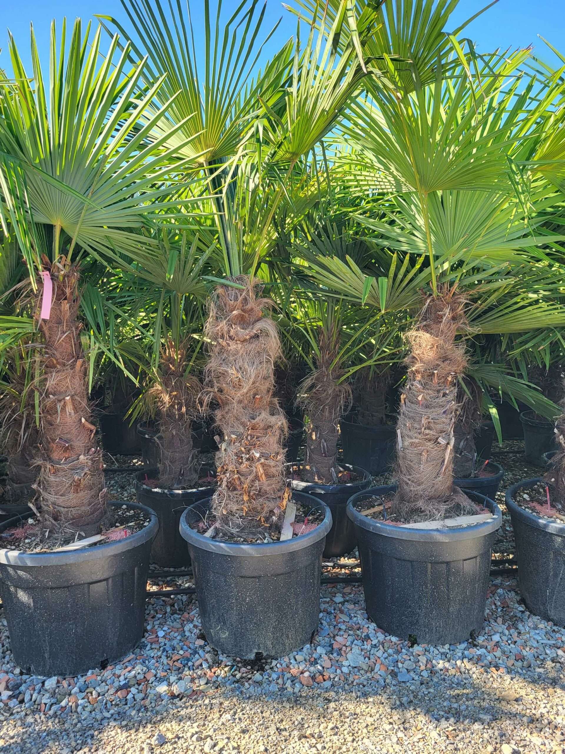 1691478825 scaled 62ab6068