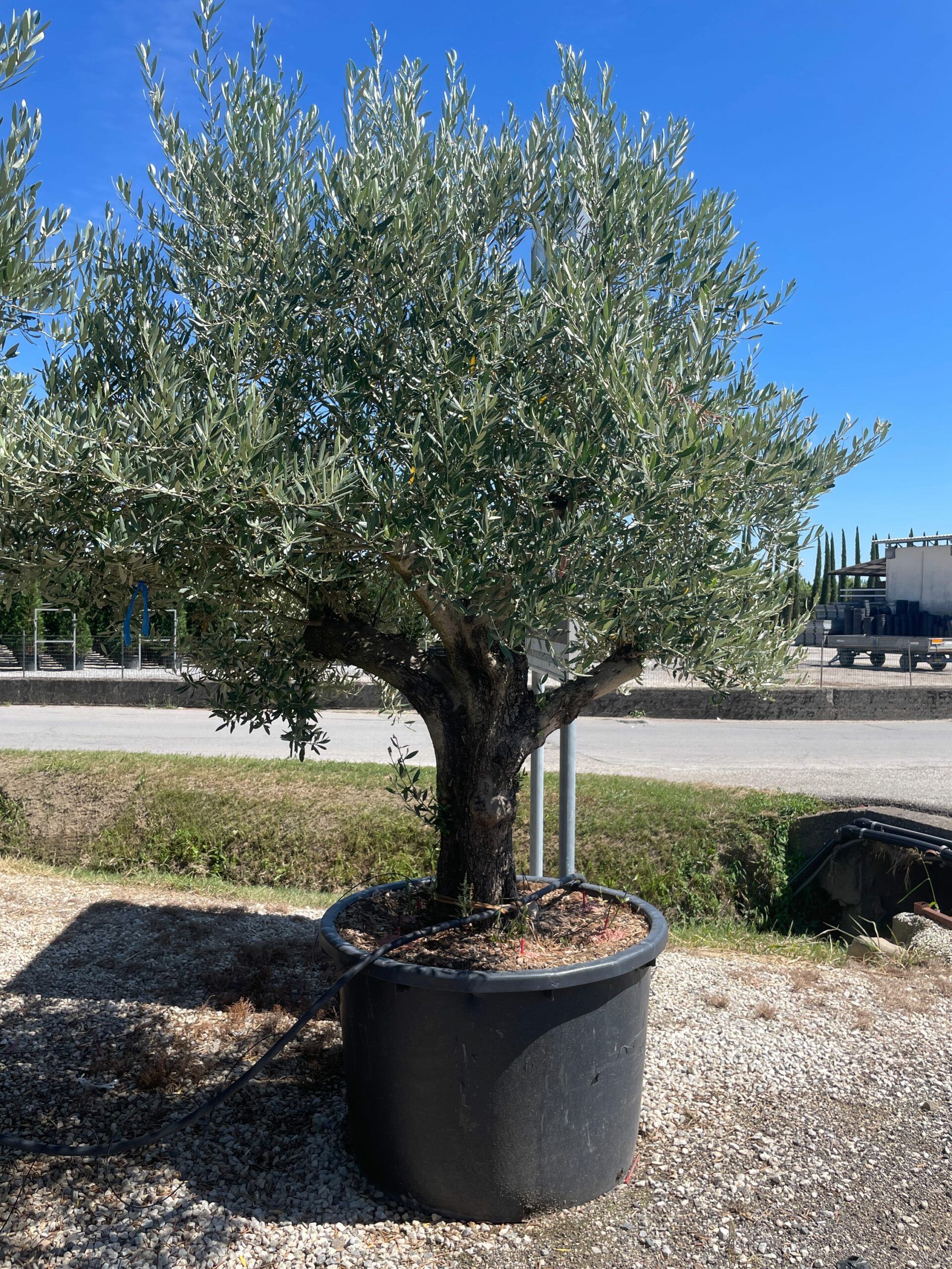 1691499440 scaled 62f2db51