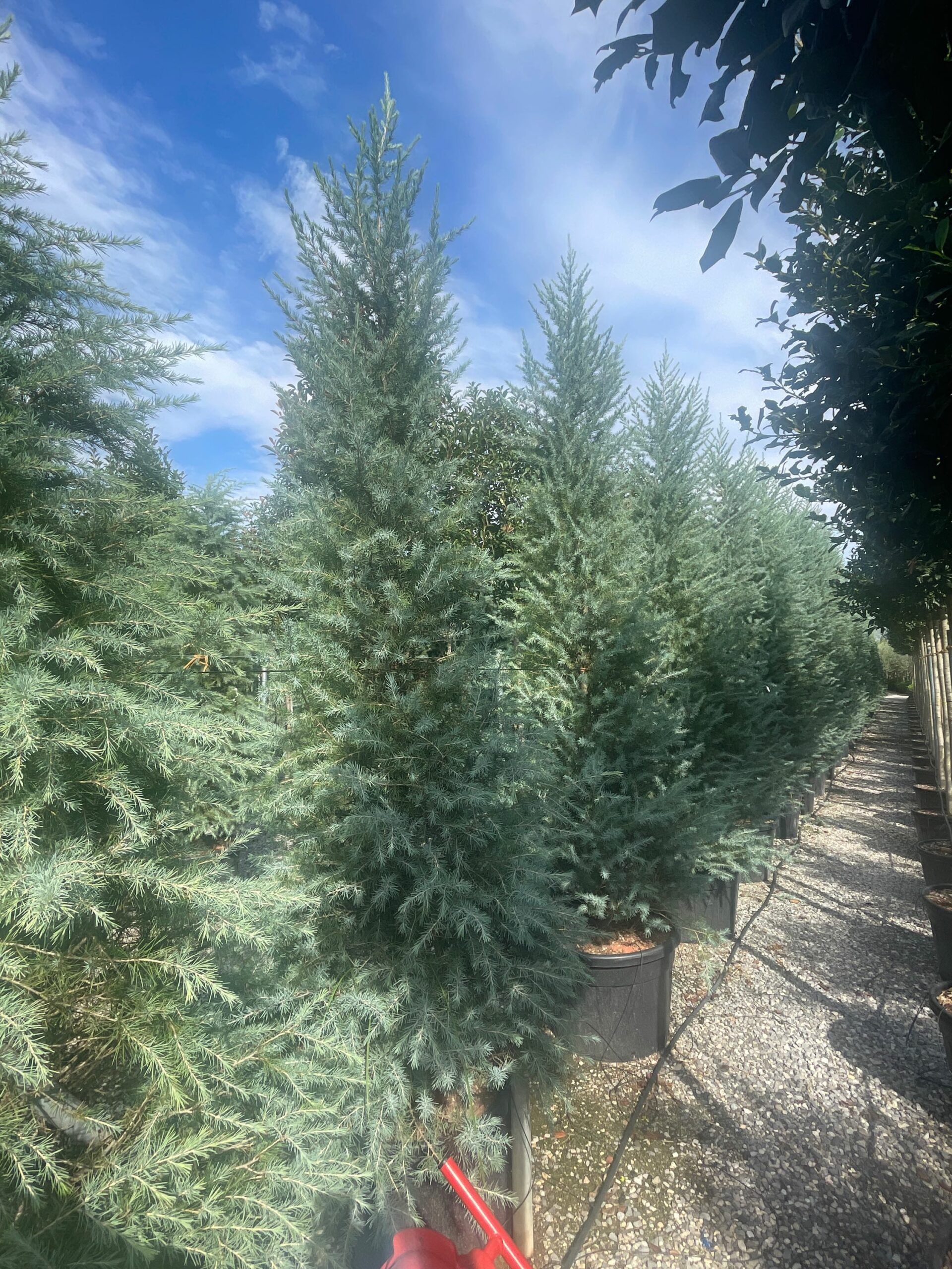 1695891986 scaled 62b2f6d7