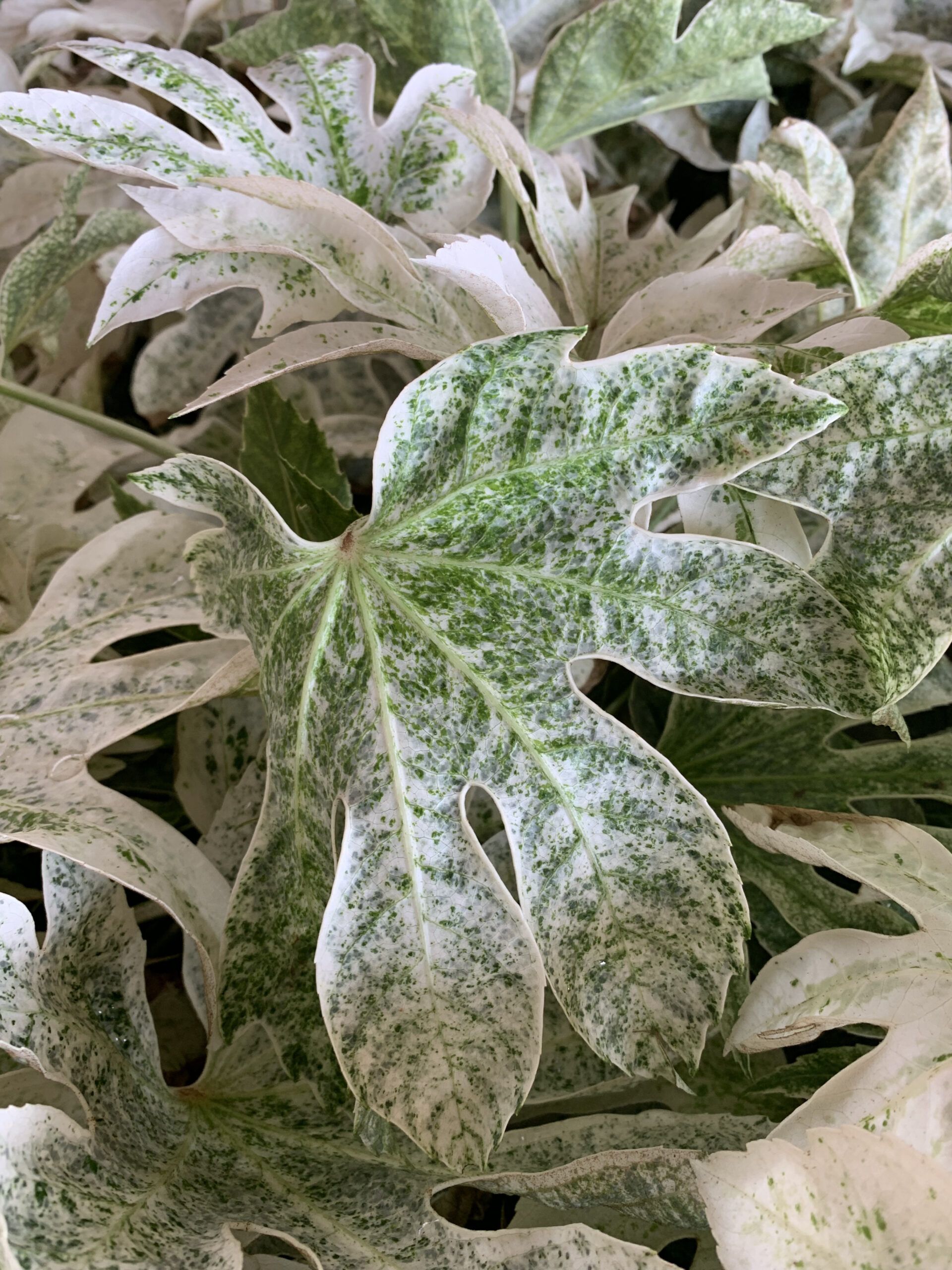 1652890407 scaled 63e2c15b