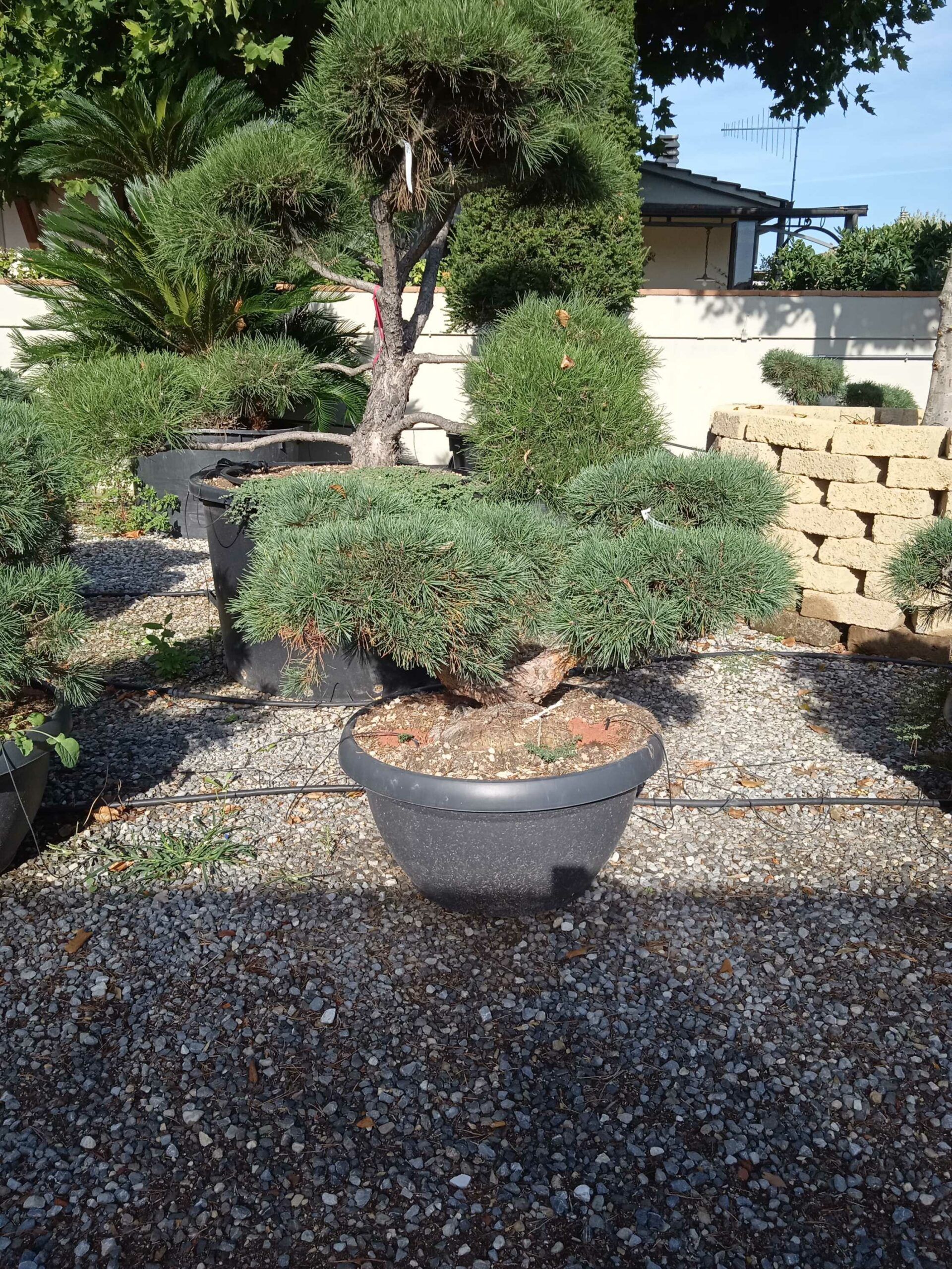 1662362614 scaled 6362b91b