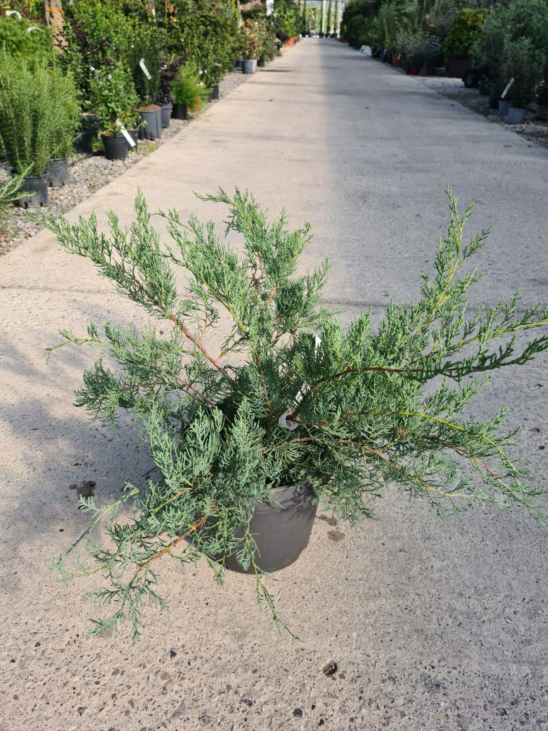 1664787120 scaled 639c3a5e