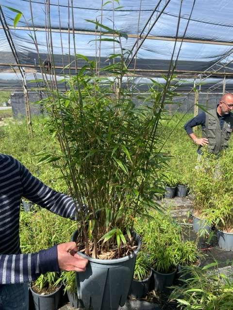 1682684179 IMG 7704 63285912